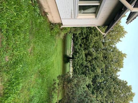 Basic Finland house with big garden