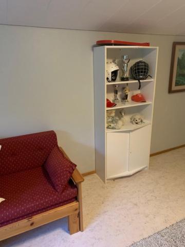Basic Finland house with big garden