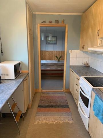 Basic Finland house with big garden