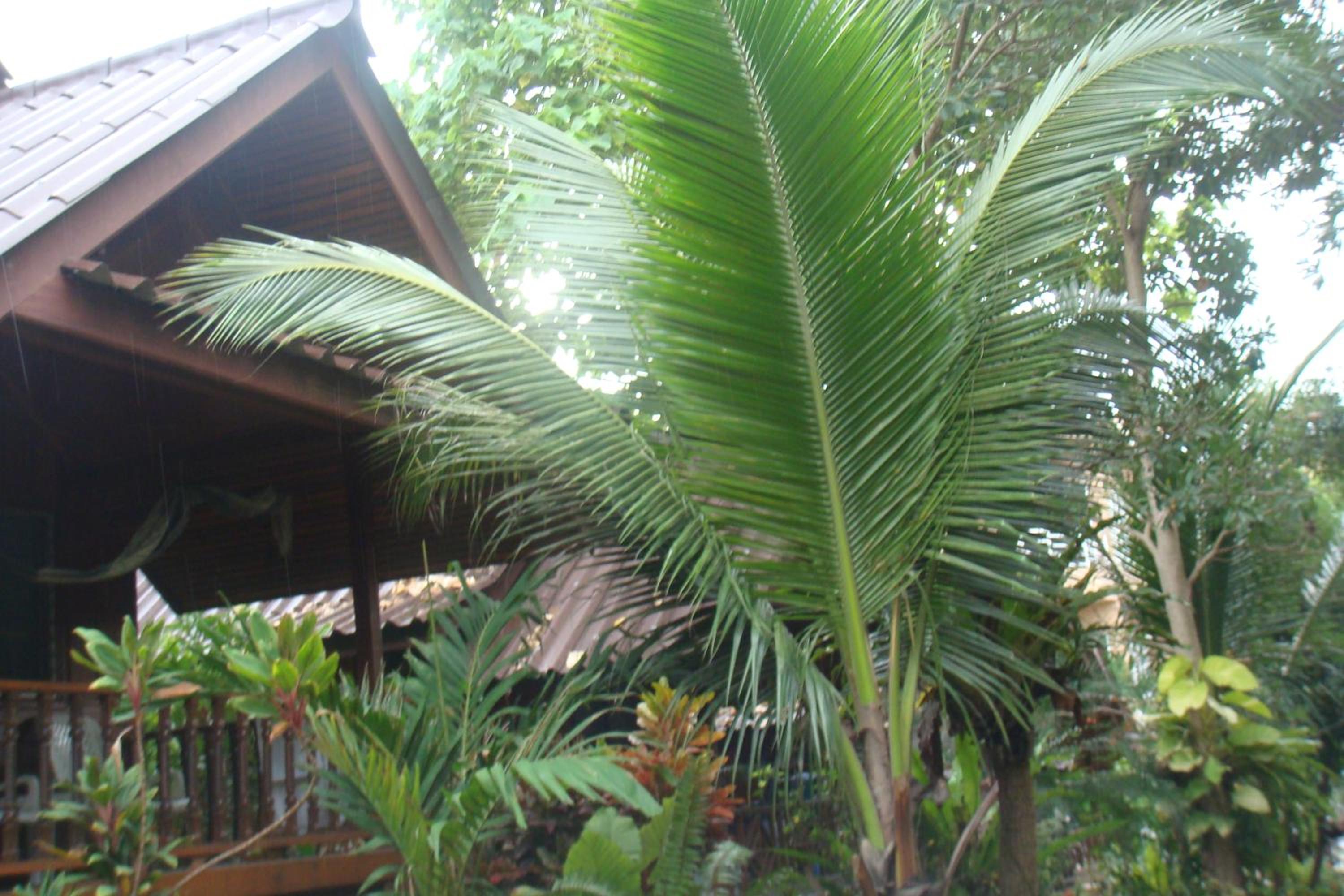 Photo 100