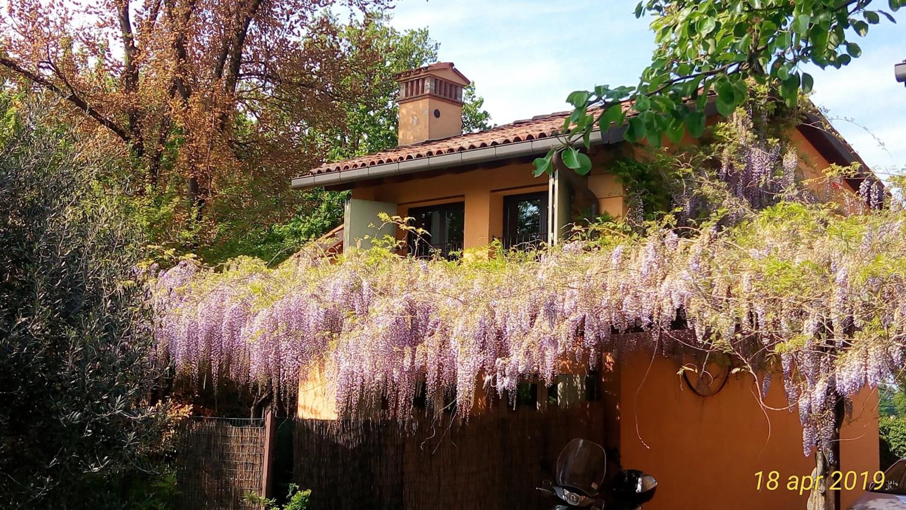 Il Fienile, casa vacanza in campagna con parcheggio privato e giardino privato, a 6 chilometri da Bologna centro e 1 chilometro da Bologna Fiera, Parco com view 3