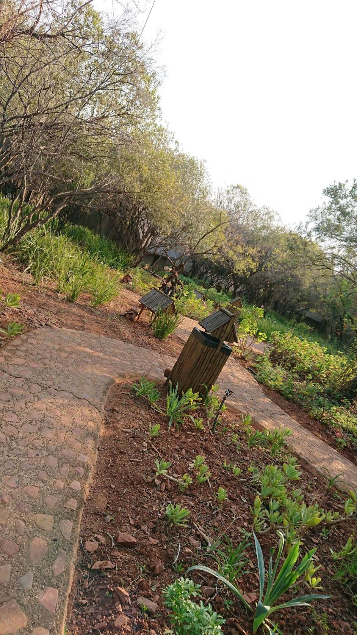 Tidimalo Lodge view 5