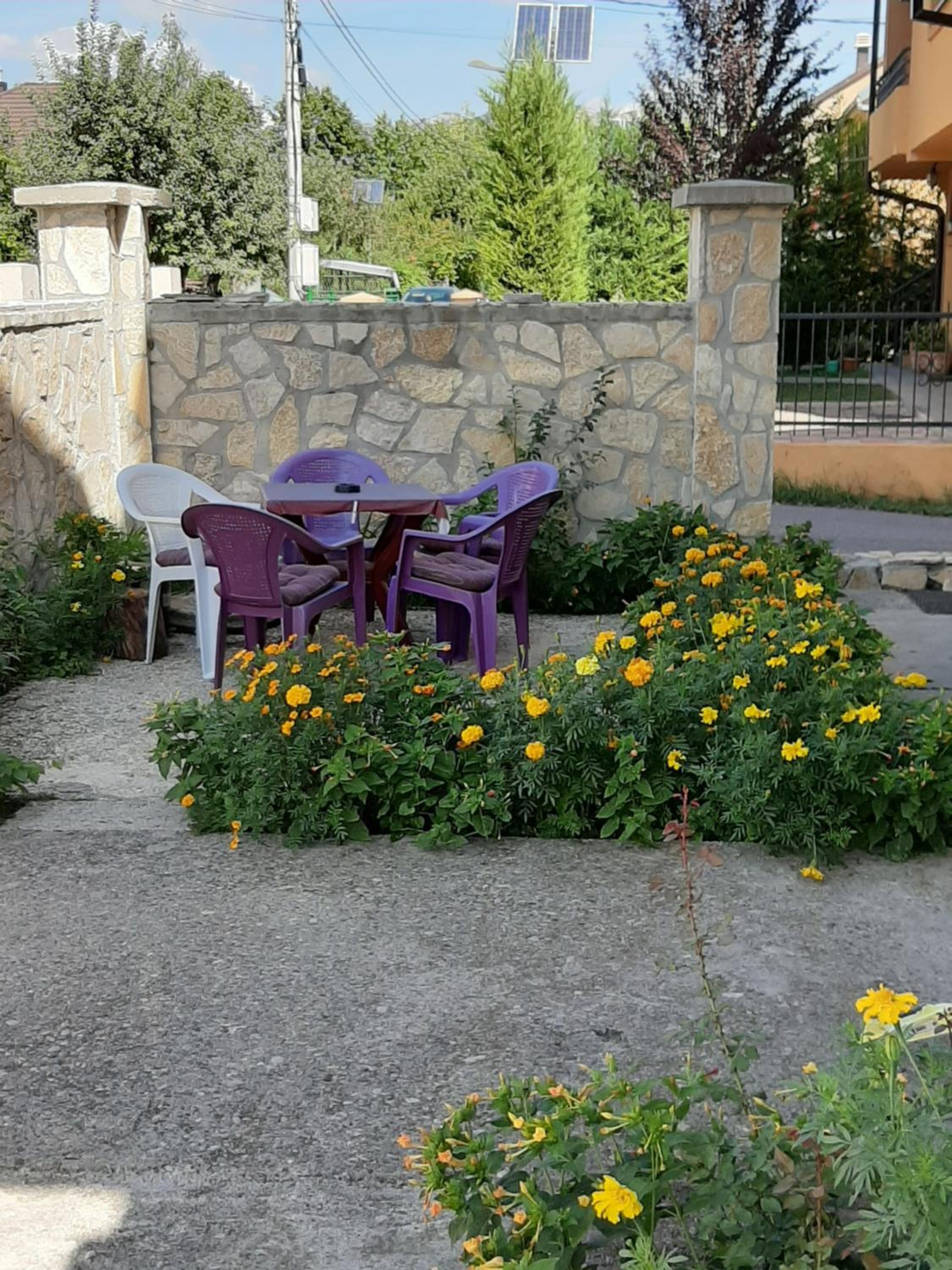 Photo 13