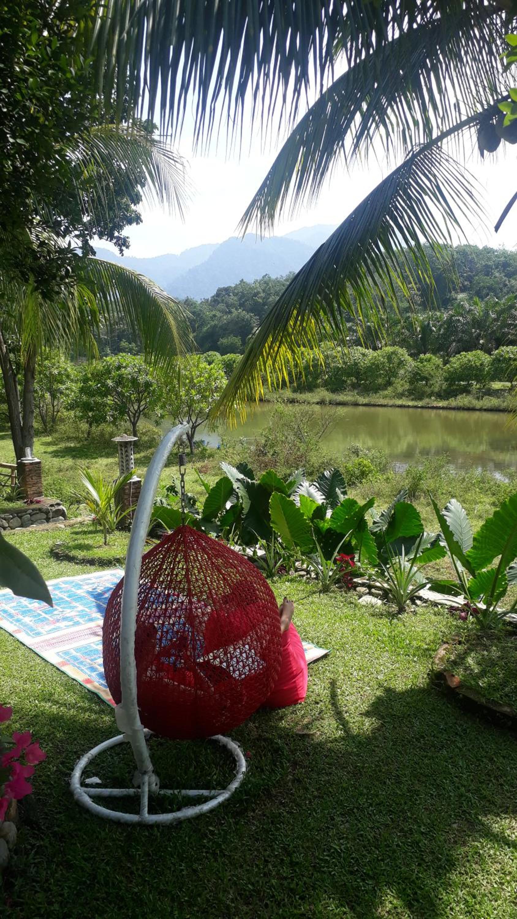 Sumatra Cheeky Monkeys view 2