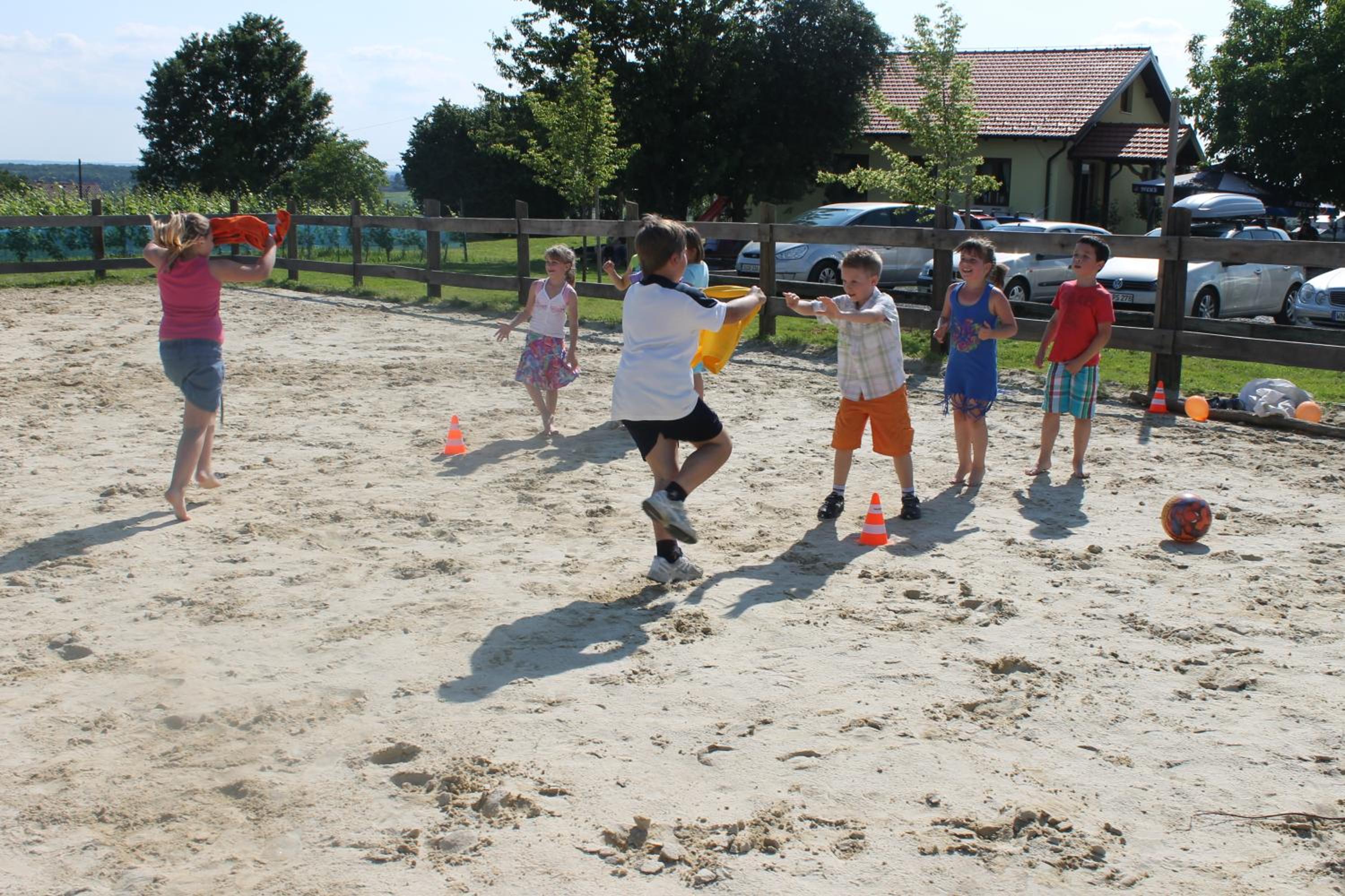 Photo 44