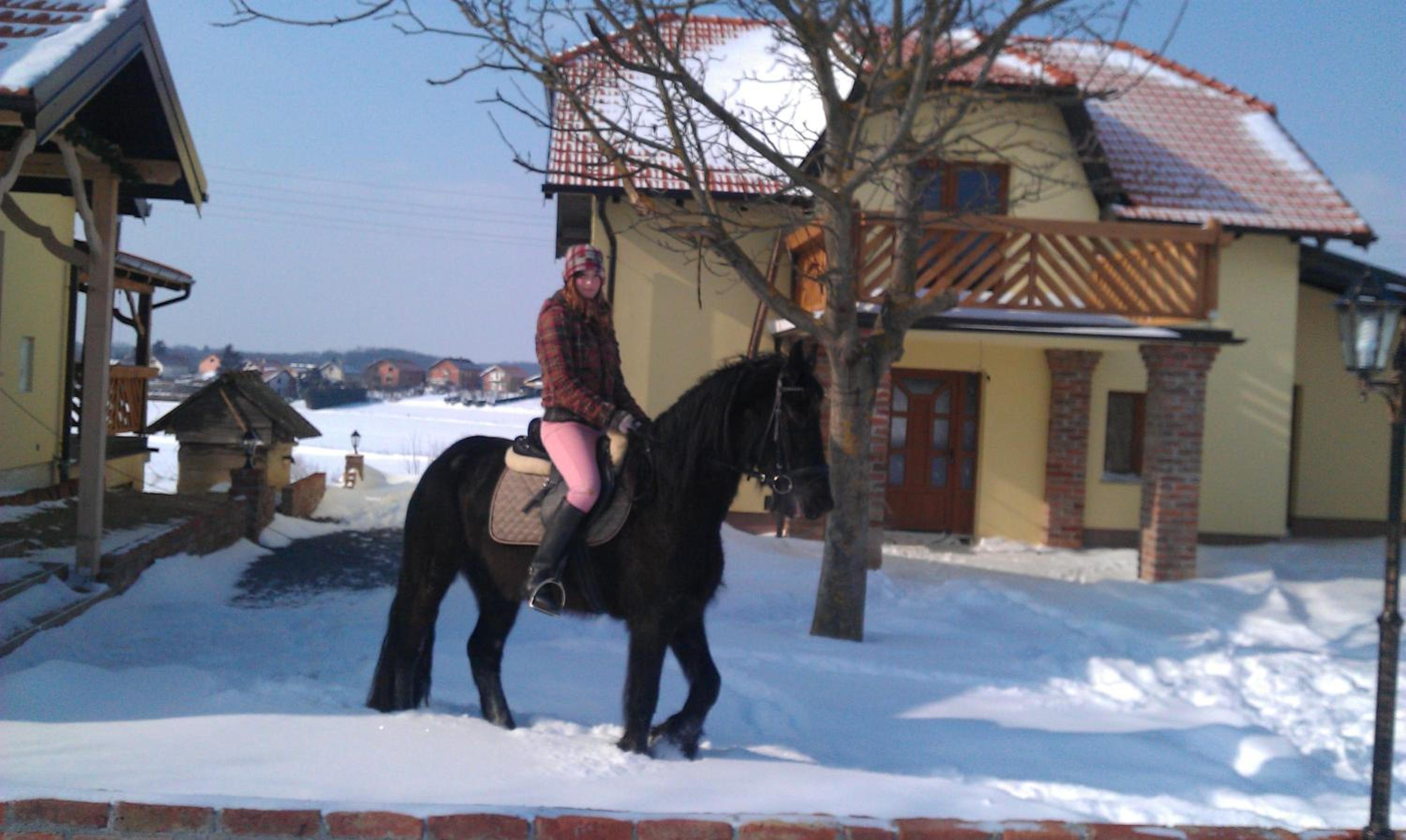 Photo 43