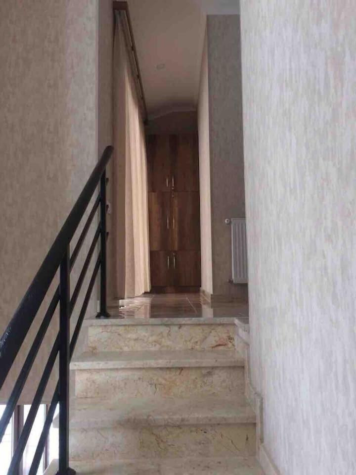 Photo 29