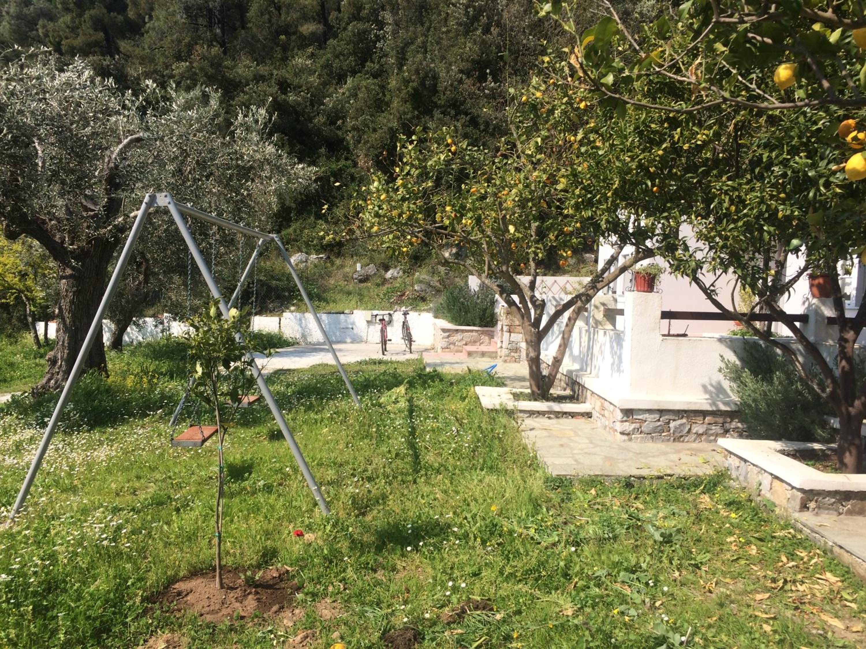 Photo 12