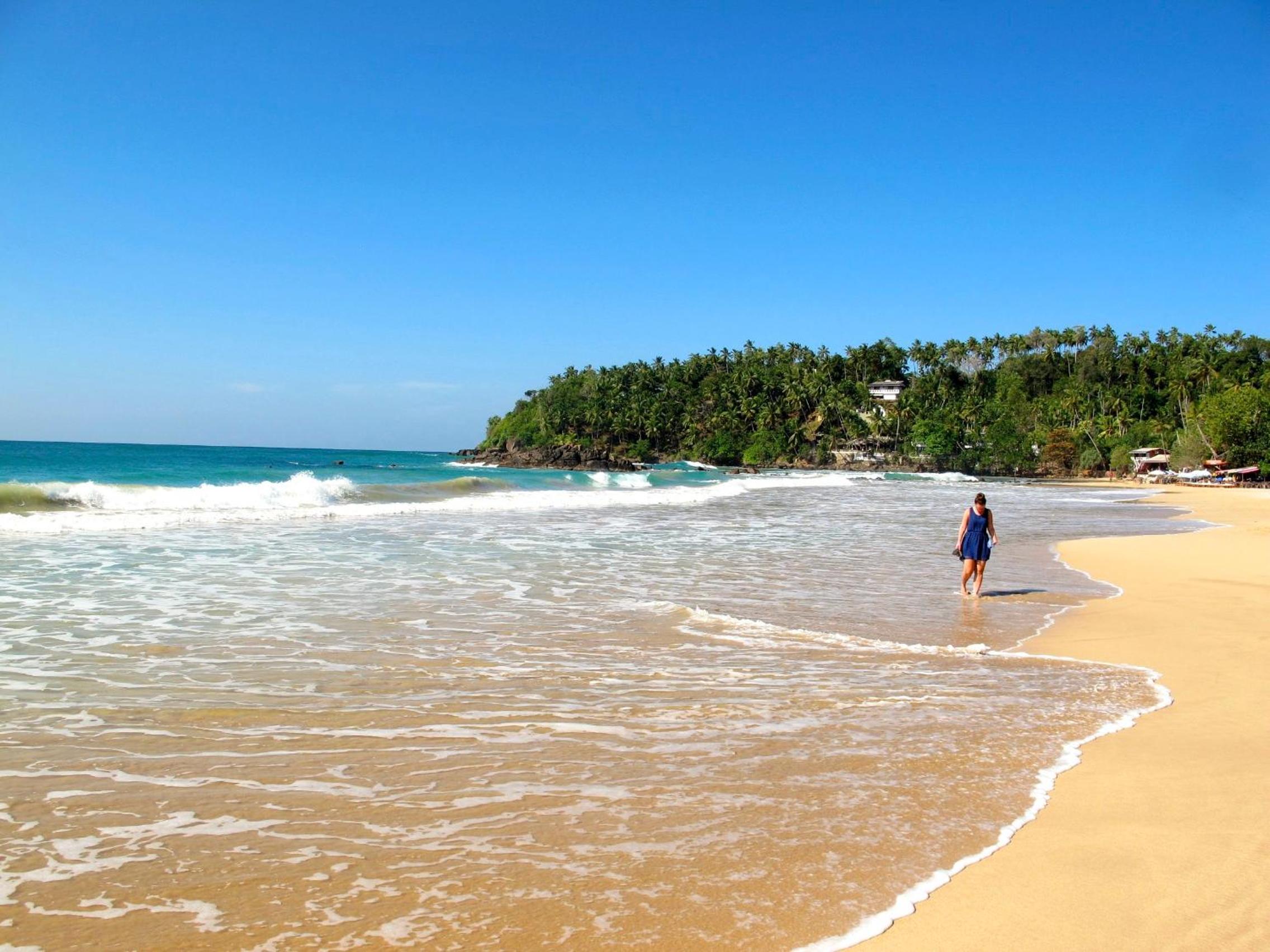 Coconut Hill Homestay view 4