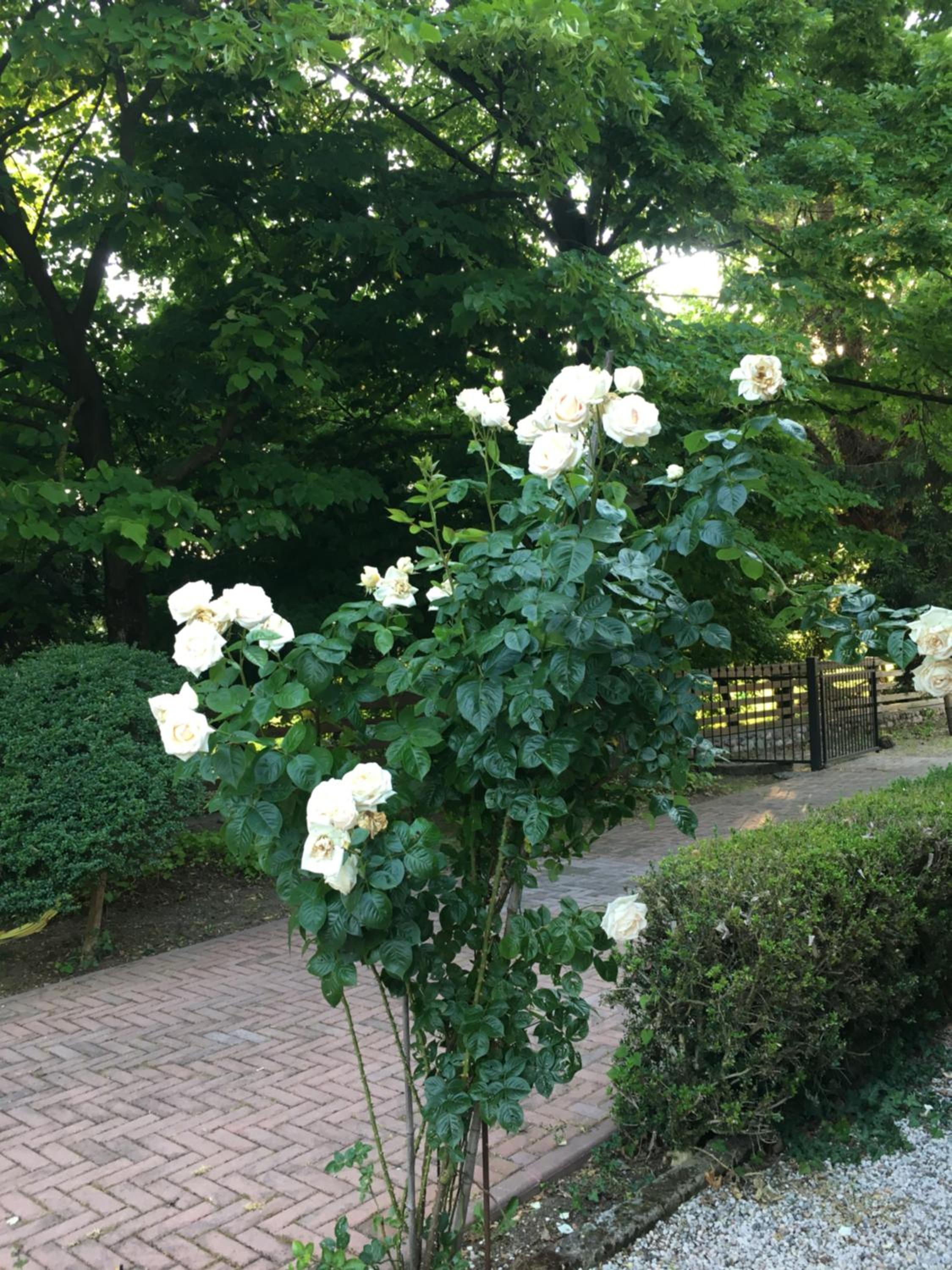 Photo 22