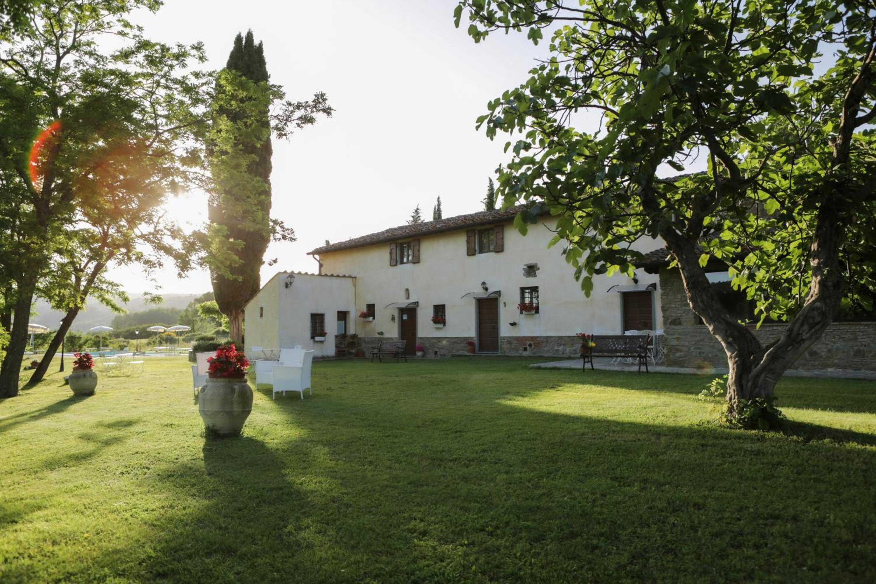 Il Vignolino