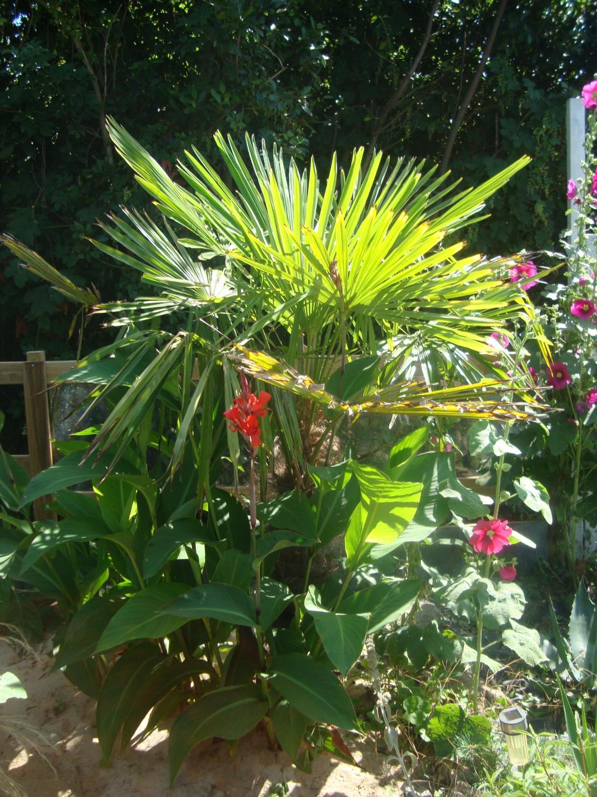 Photo 15