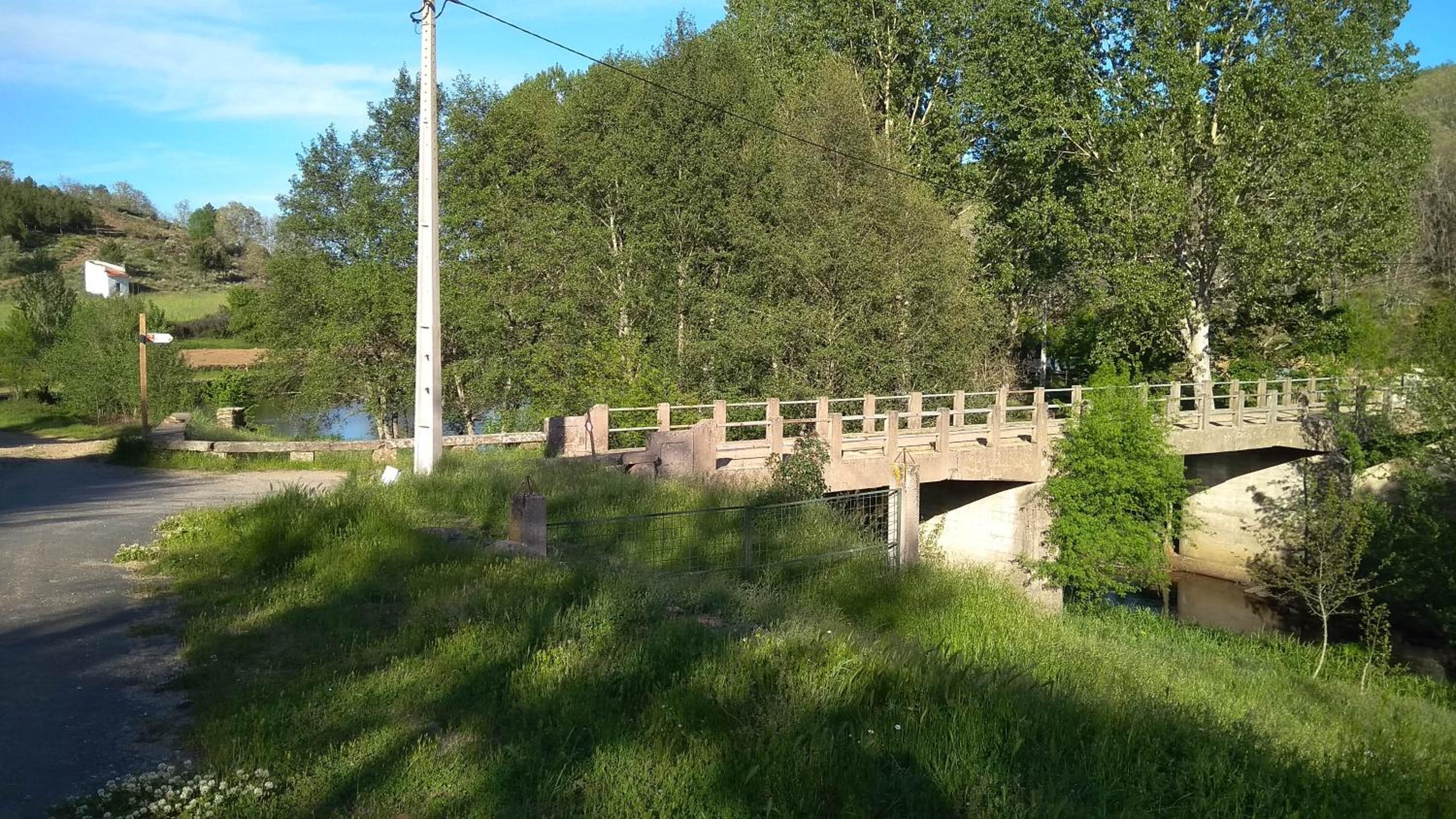 Photo 17