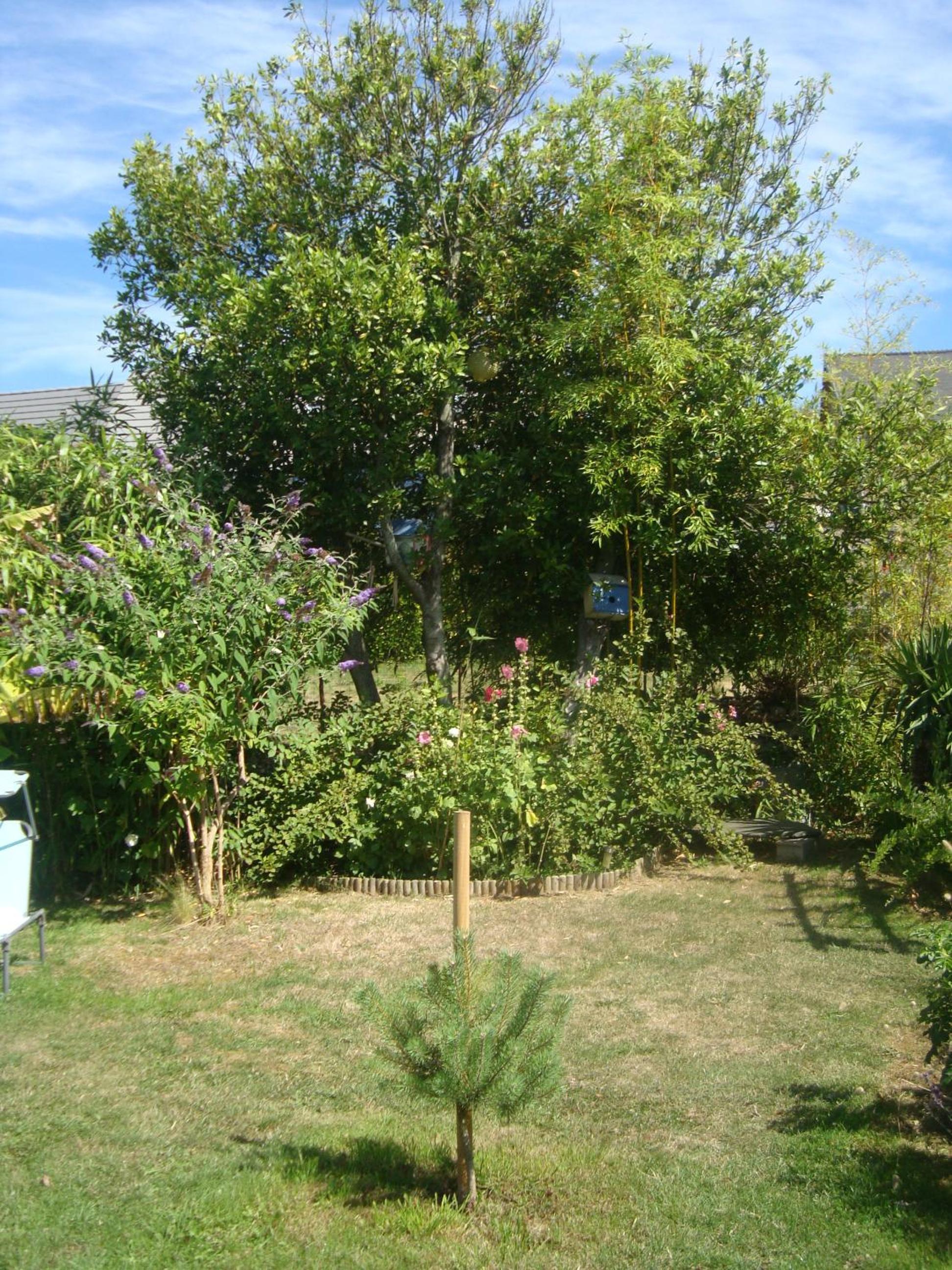 Photo 16