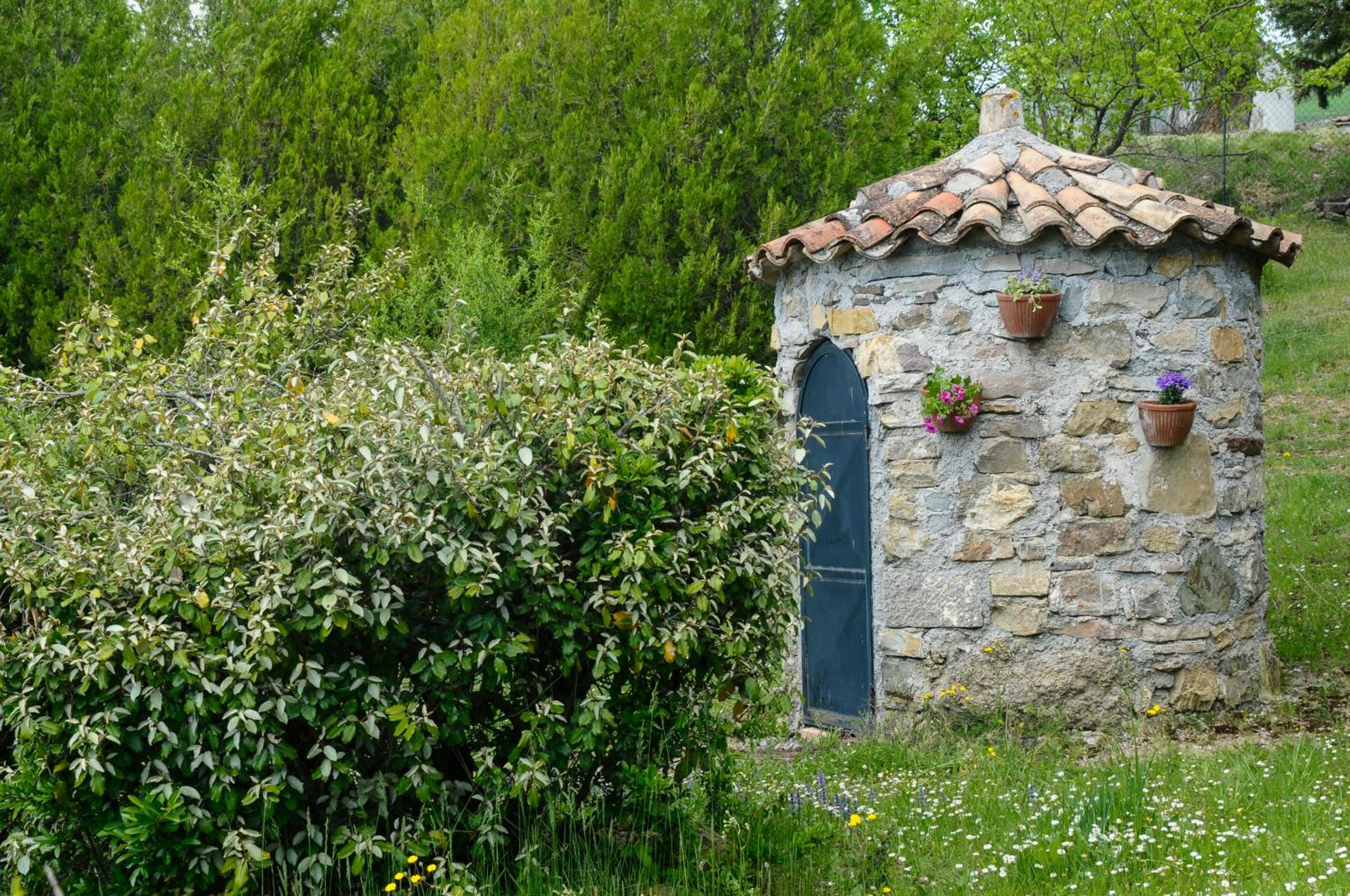 Photo 23
