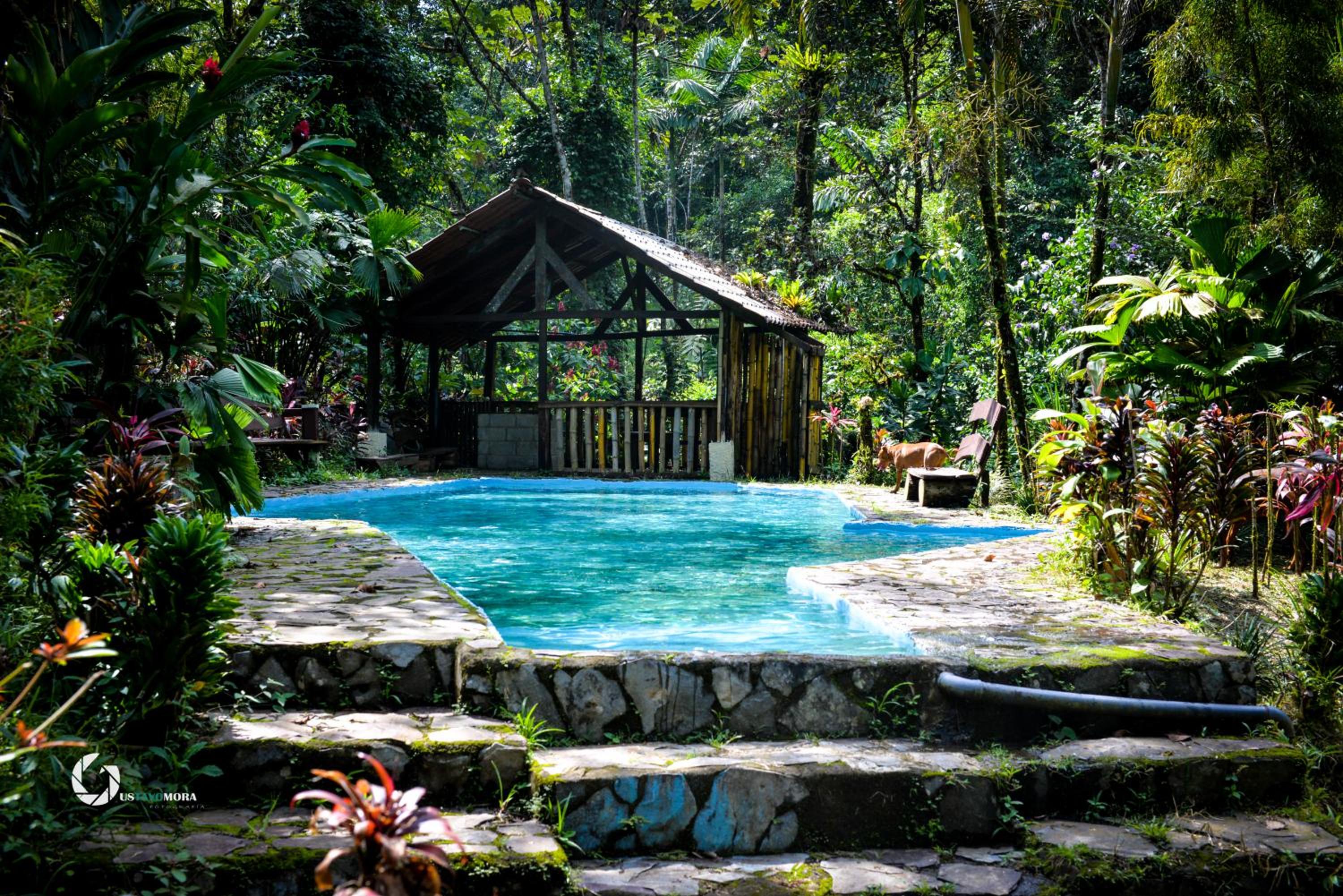 Princesa de la Luna EcoLodge 75