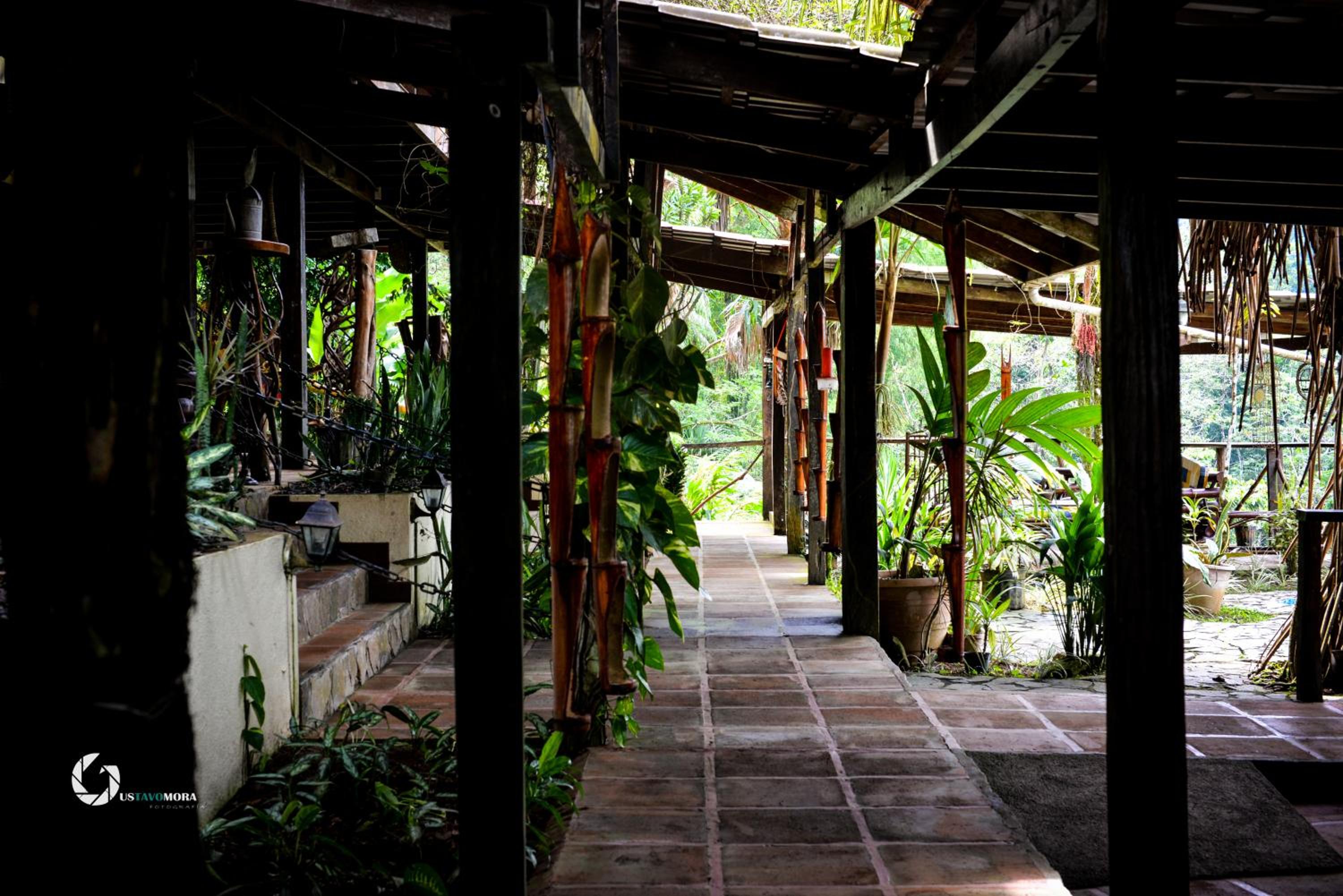 Princesa de la Luna EcoLodge 110