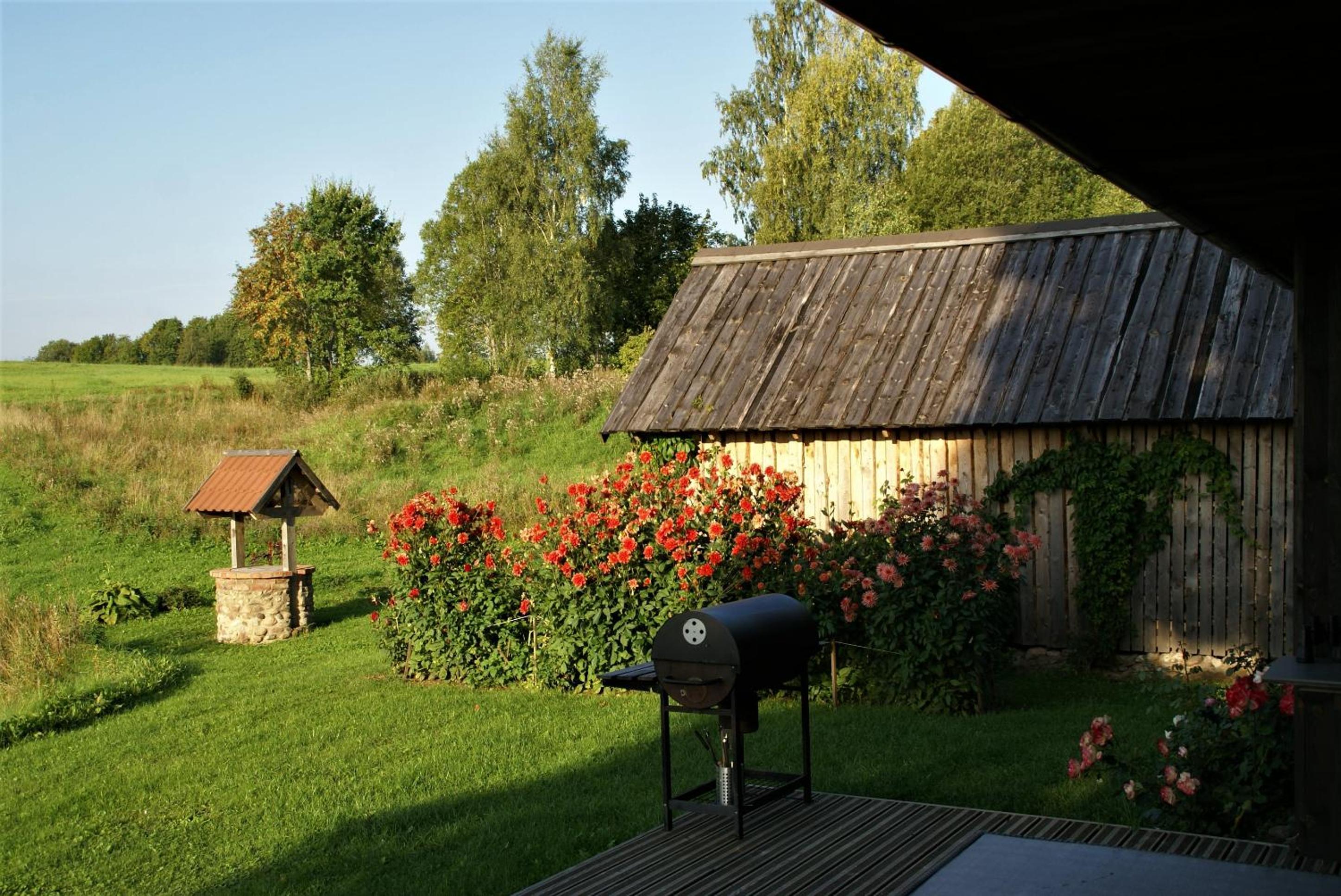 Photo 31