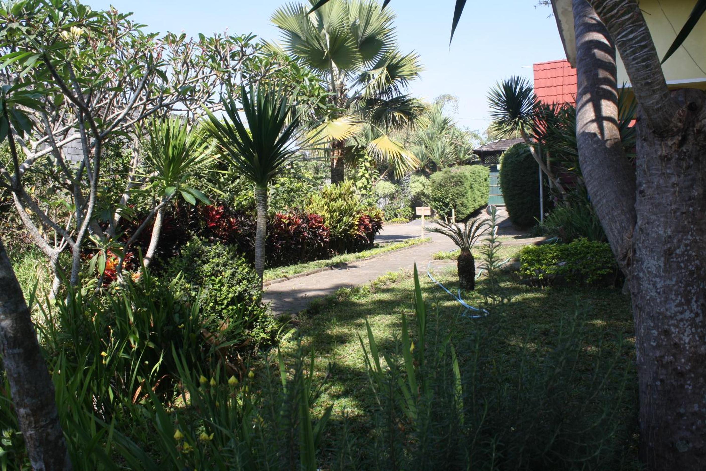 Photo 37