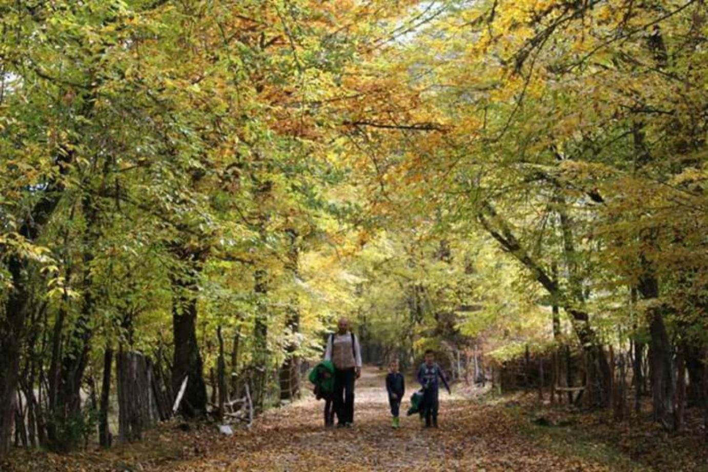 Seoski turizam Ziličina Rogatica