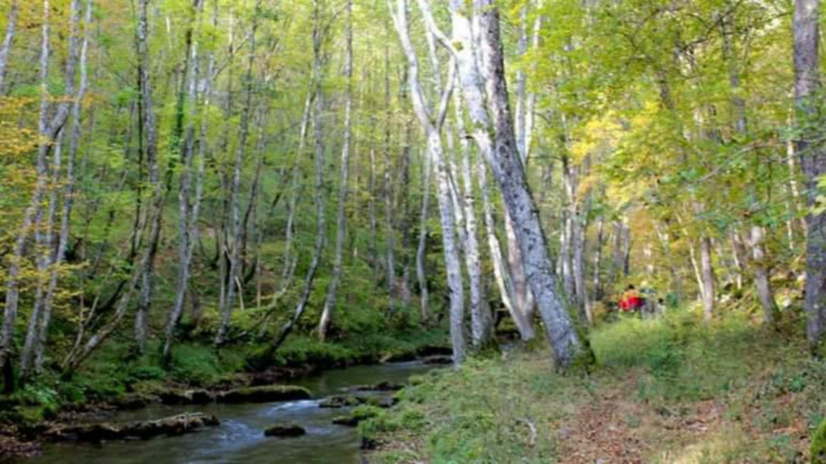 Seoski turizam Ziličina Rogatica
