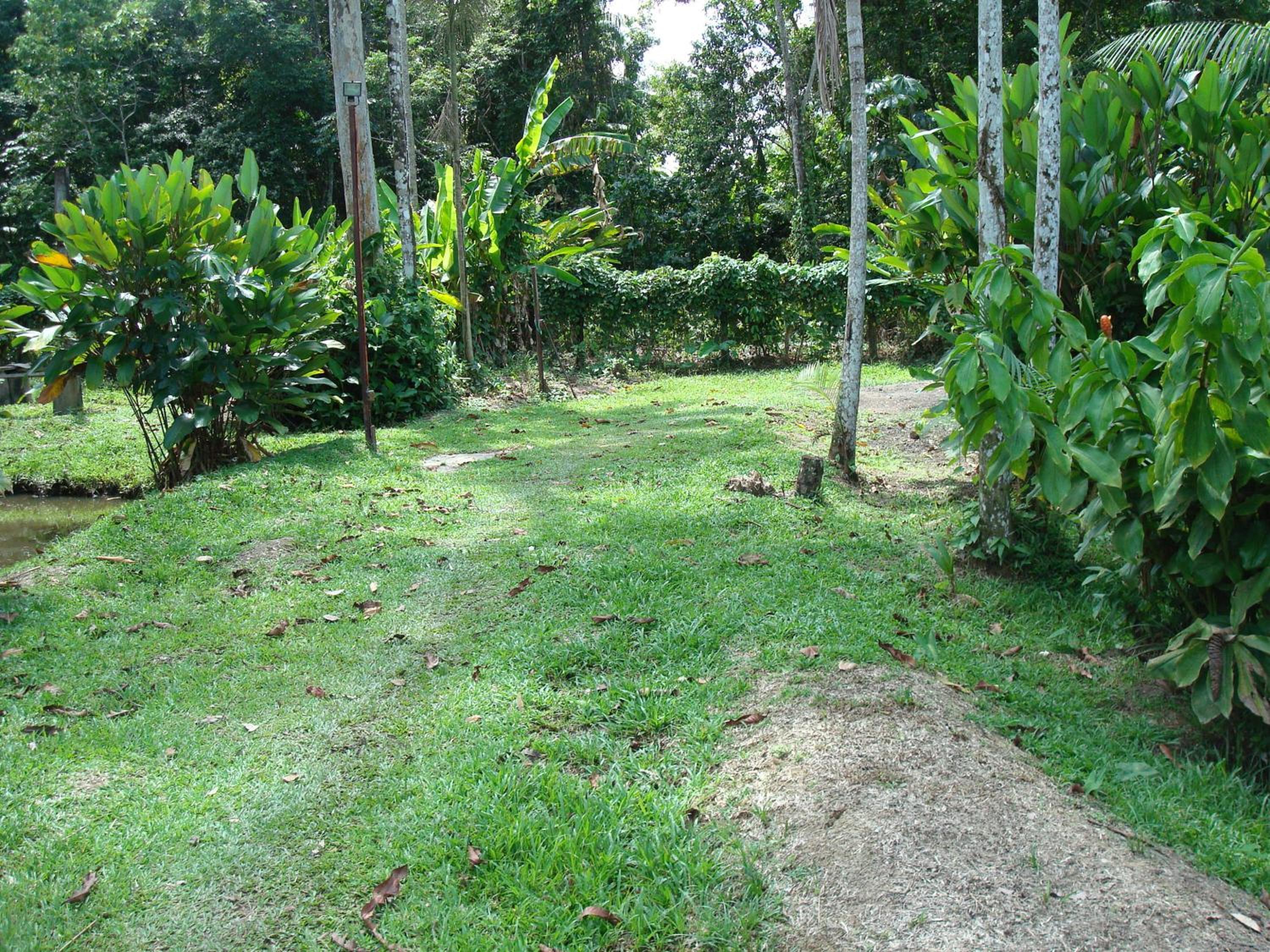 Photo 38