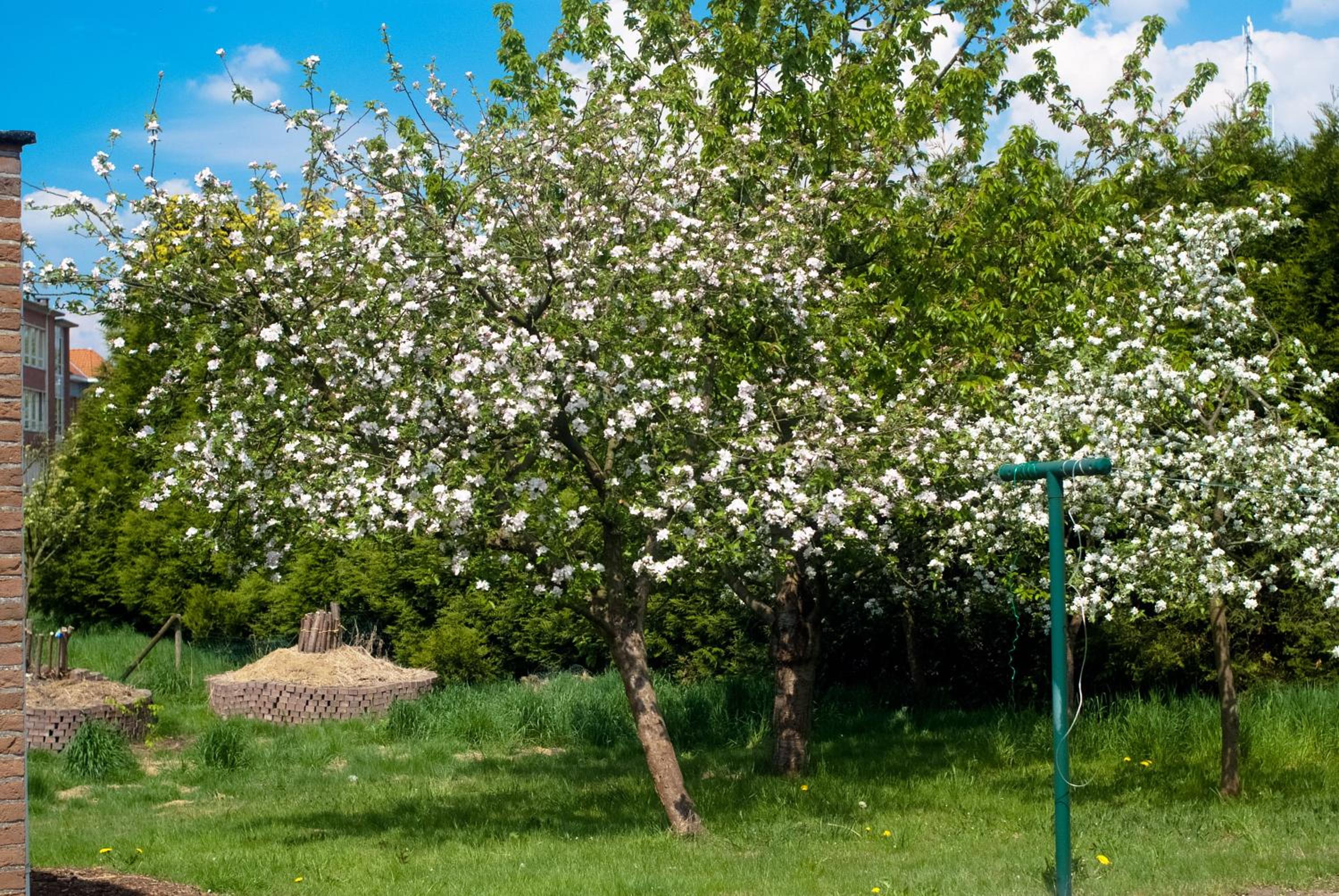 't Bruggeske