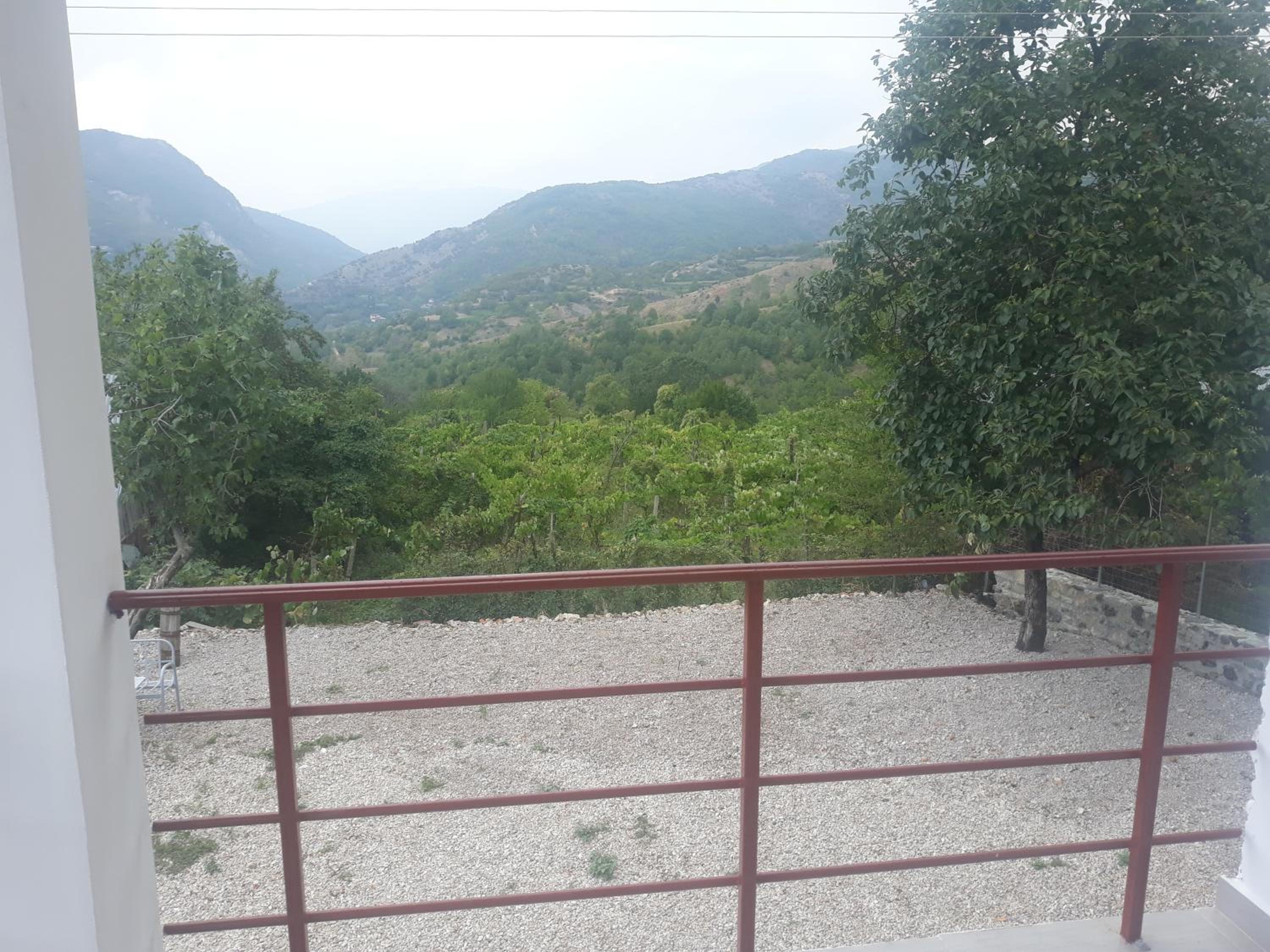 VILA DISHA