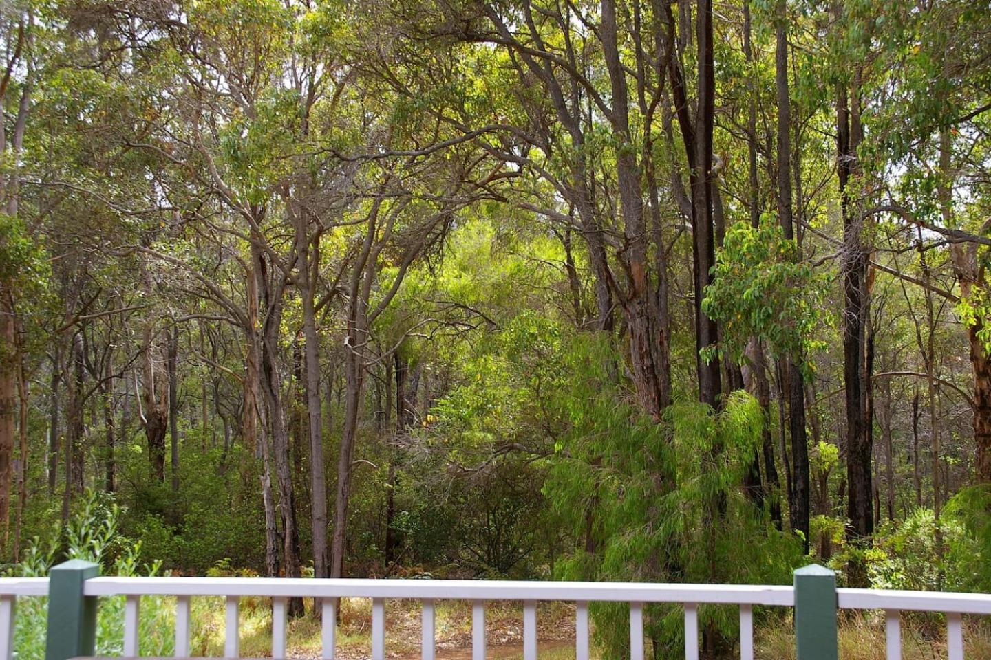 Ashleigh - In Town - Margaret River