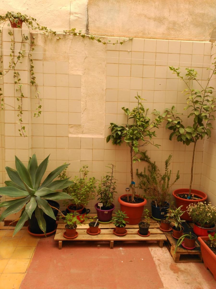 Como en casa photo 1