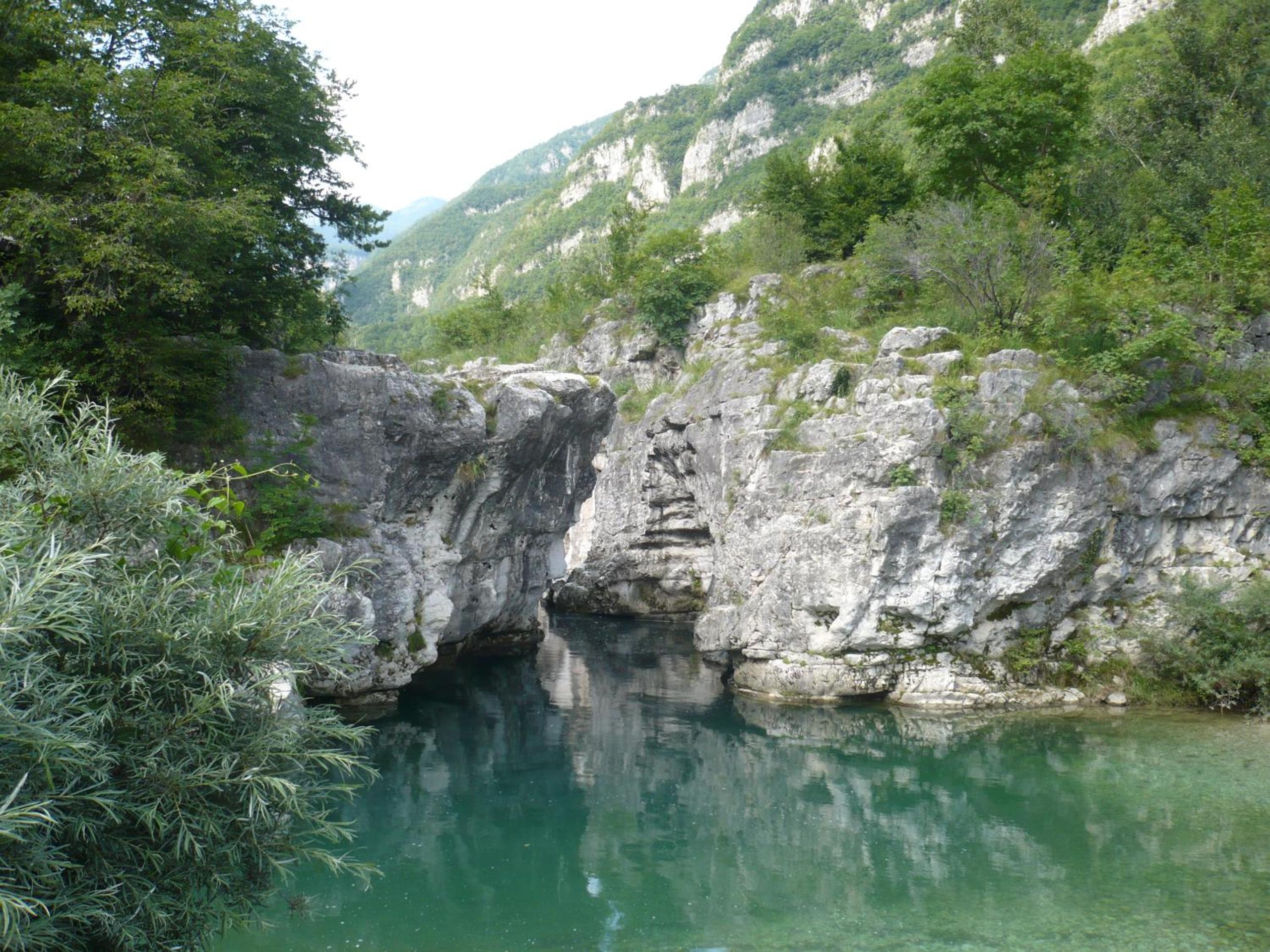 Photo 47