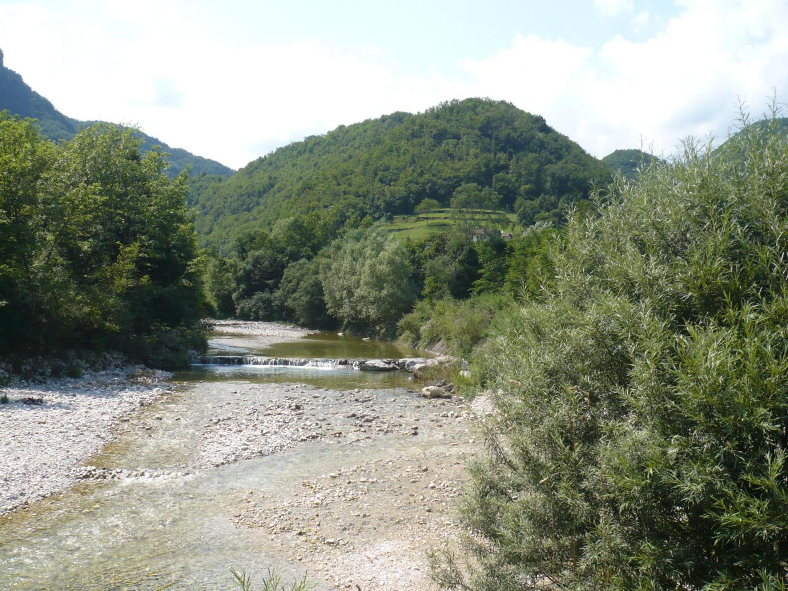 Photo 43