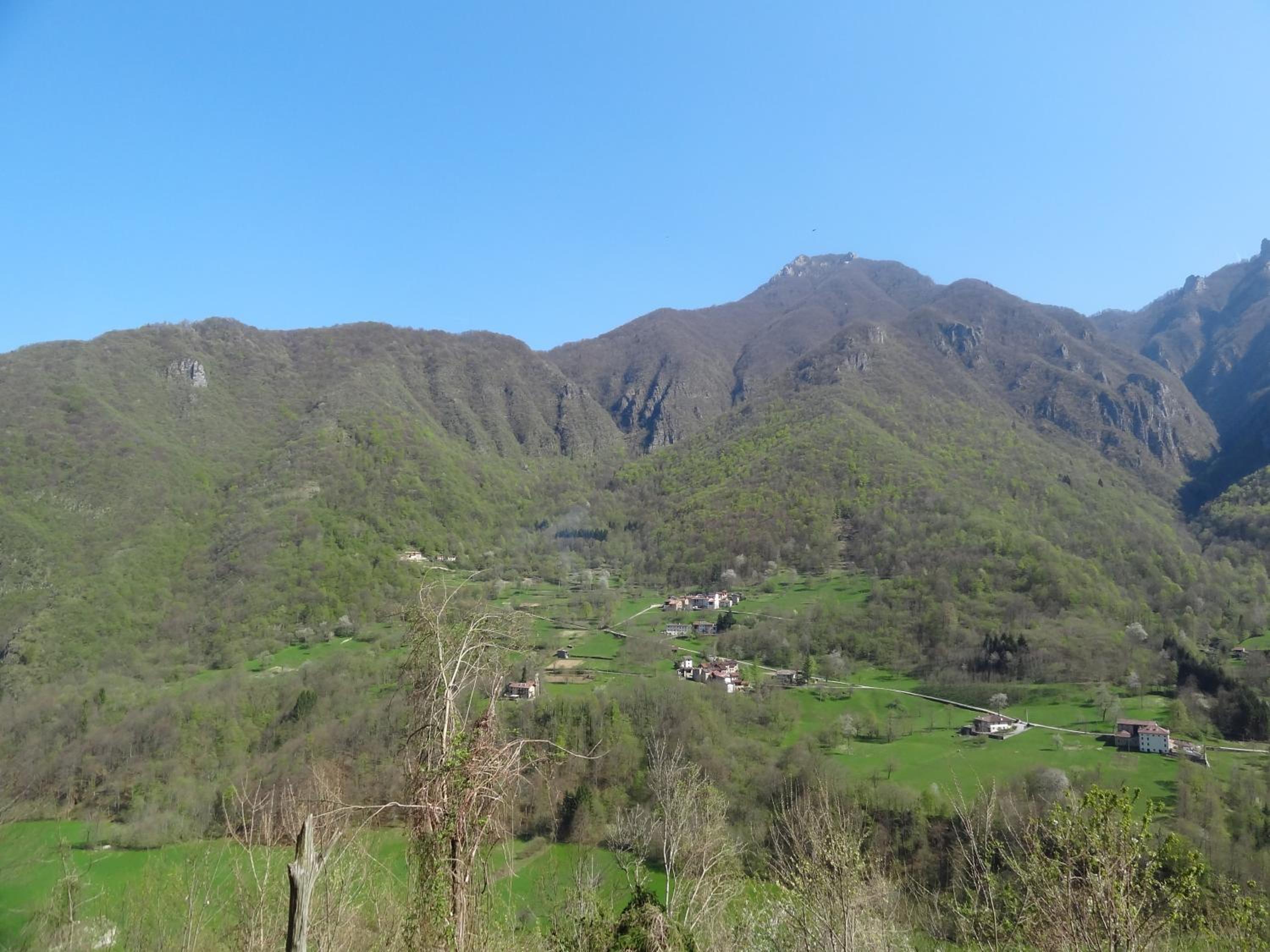 Photo 44