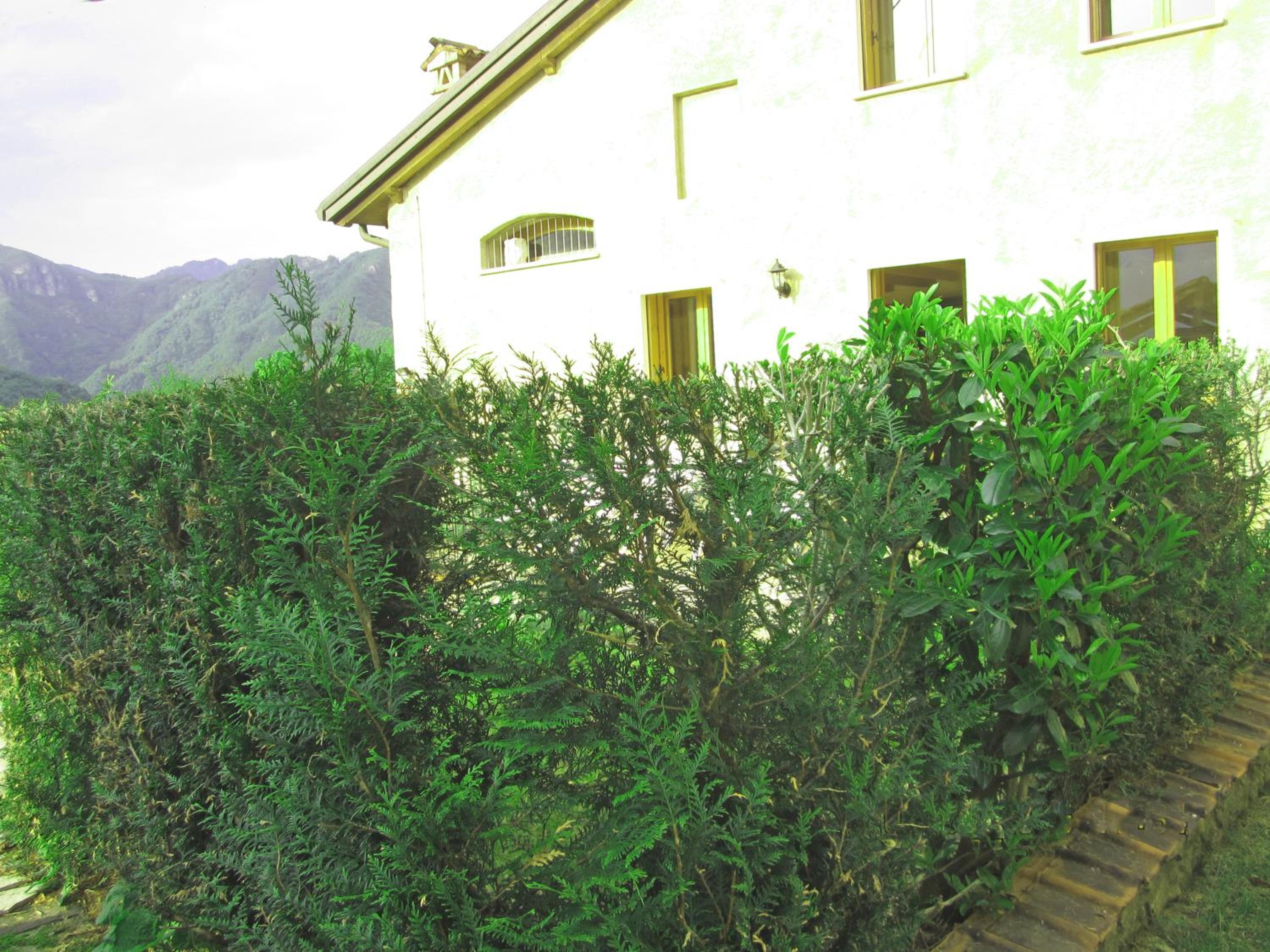 Photo 39