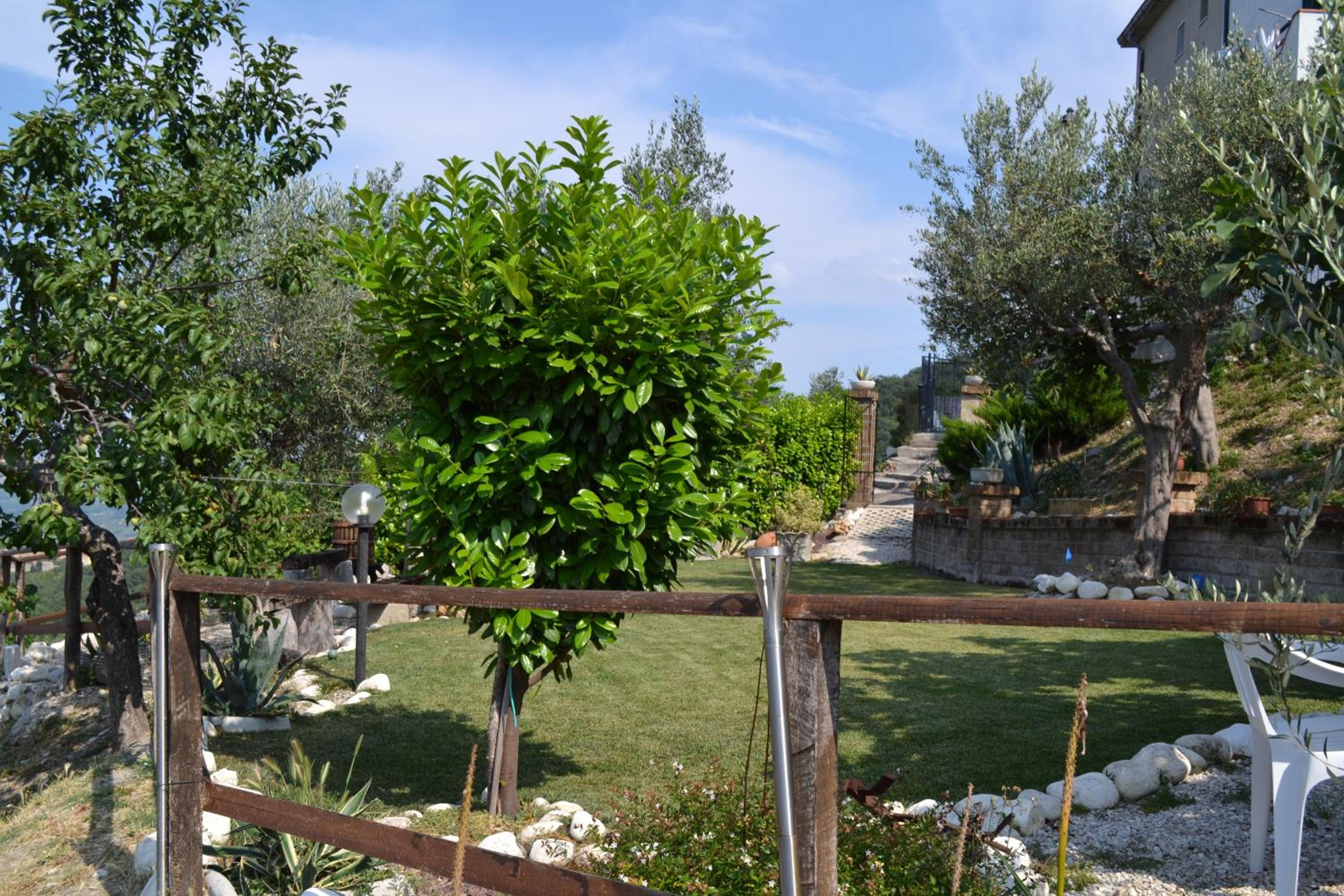 Photo 10