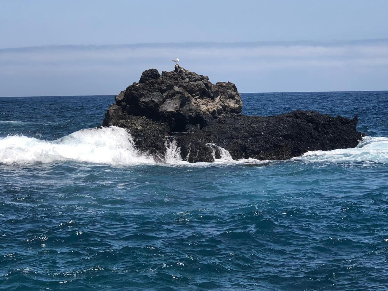 other