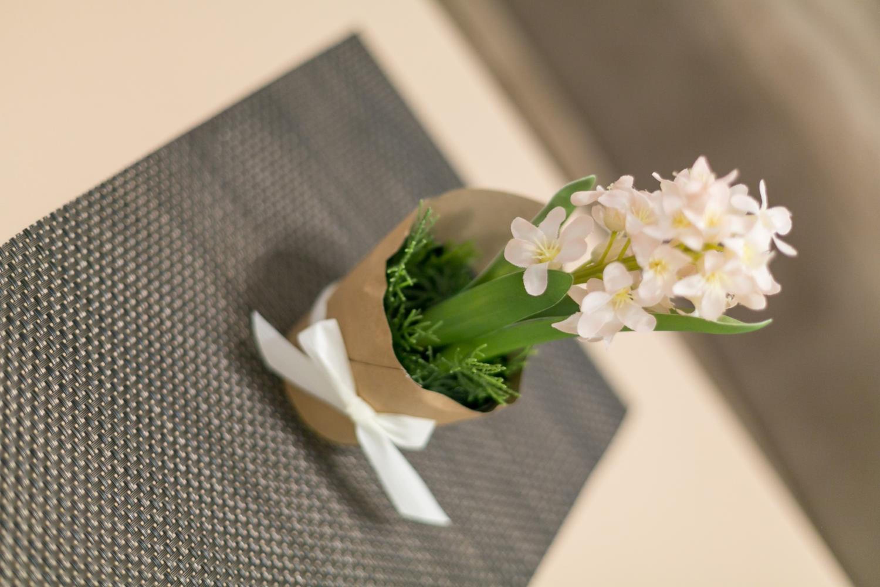 Apartment Dositejeva 13