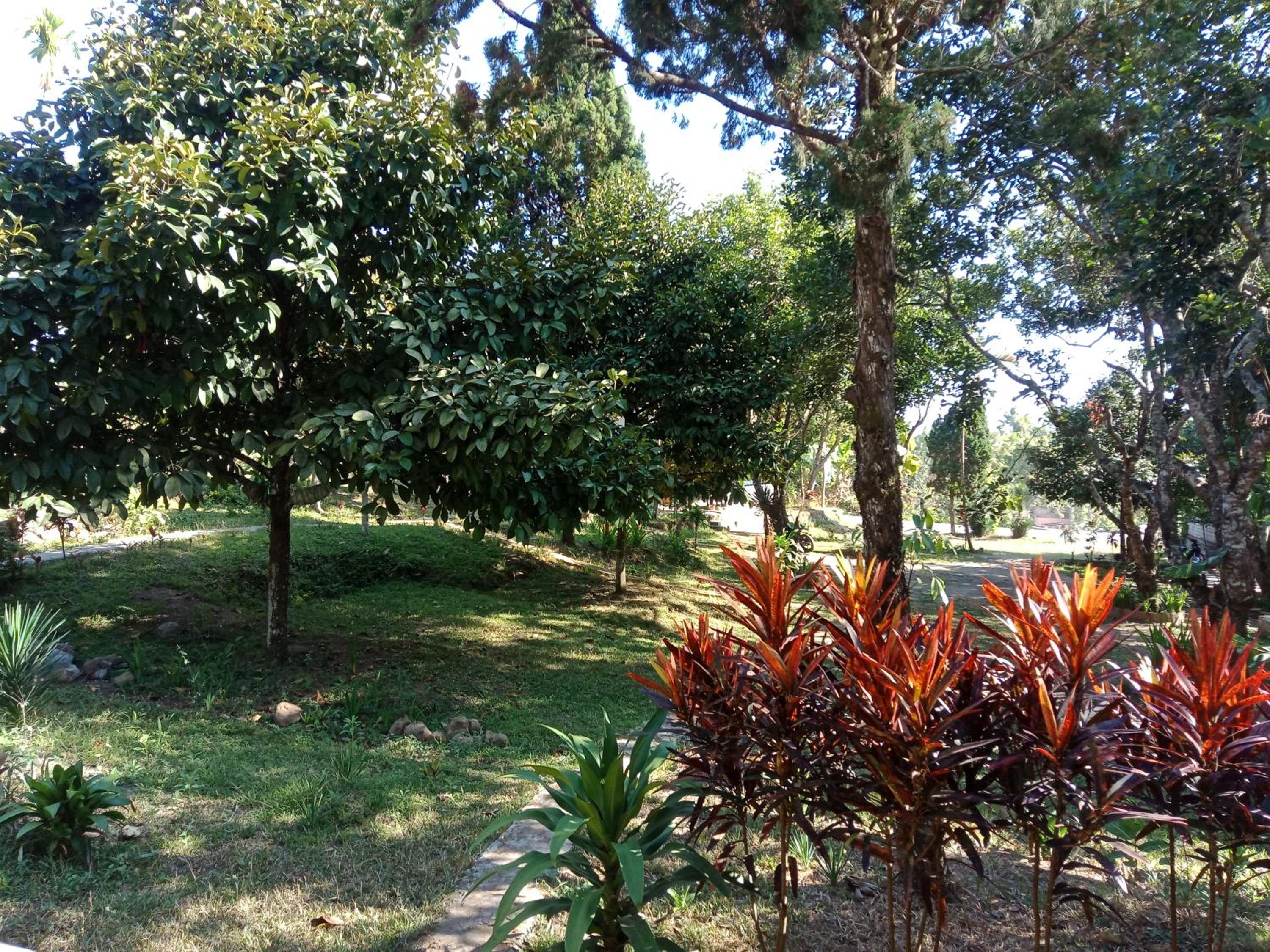 Photo 17