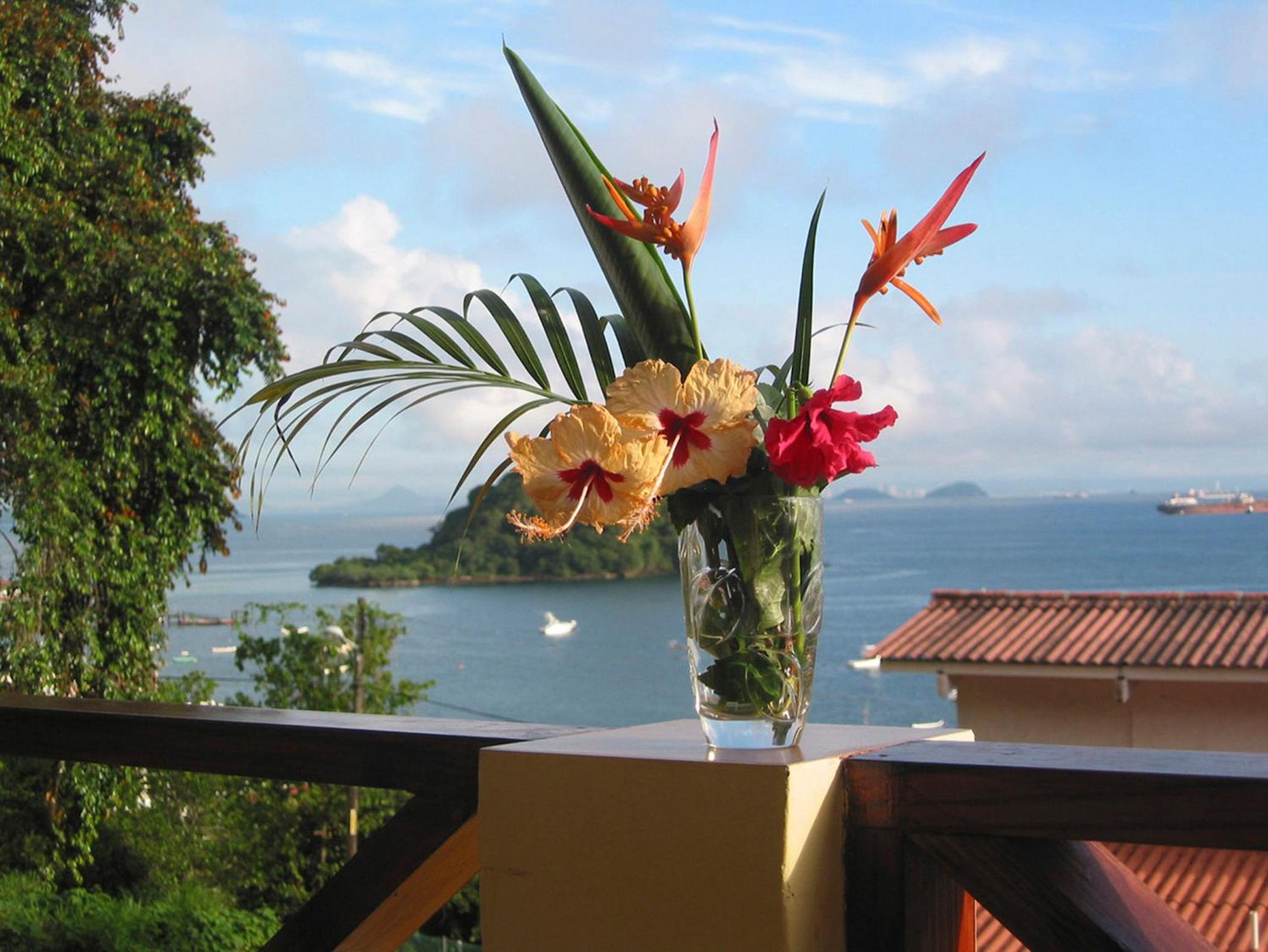 Cerrito Tropical Eco Lodge view 3