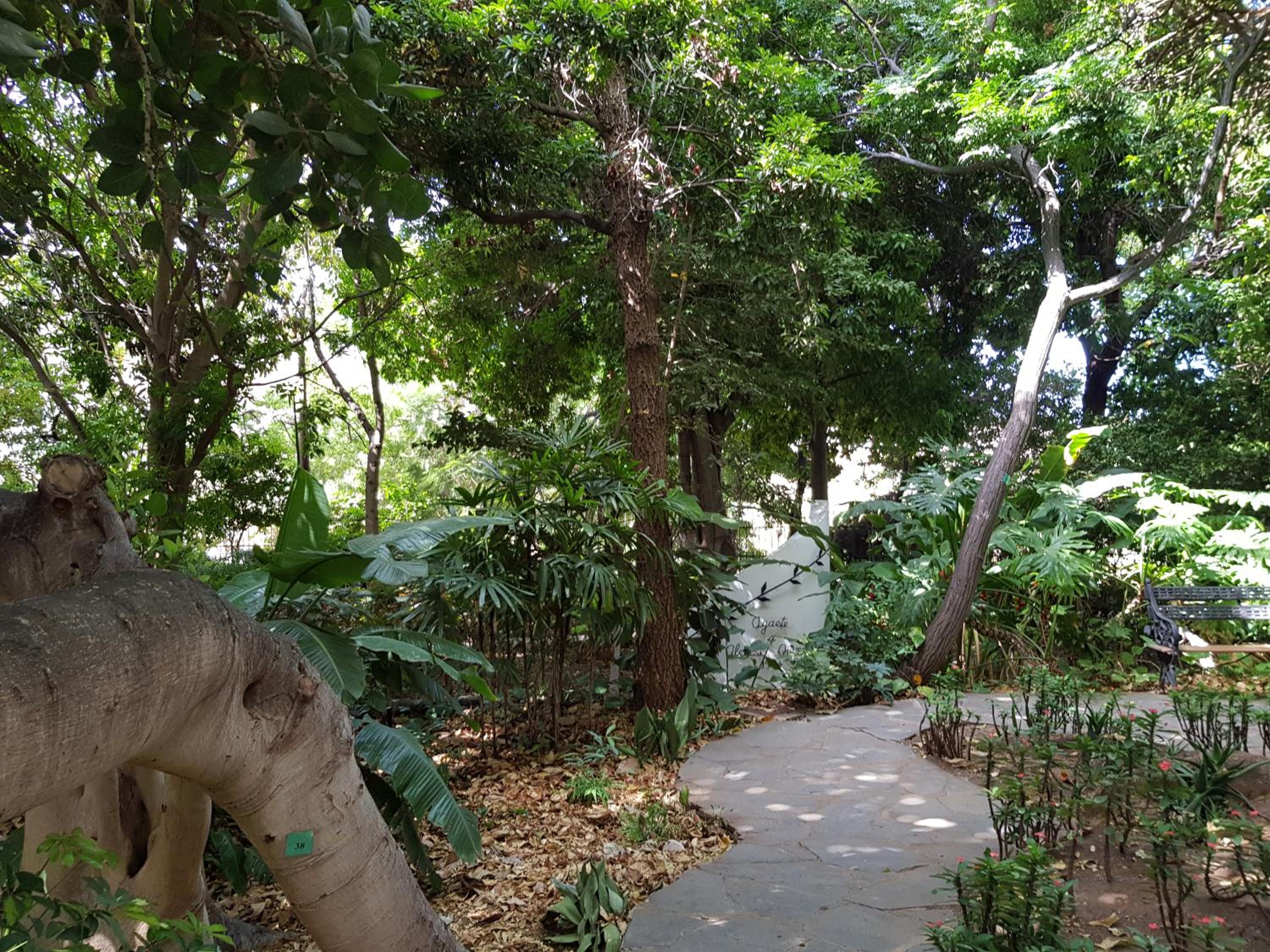 Vivienda Agaete Paradise view 3