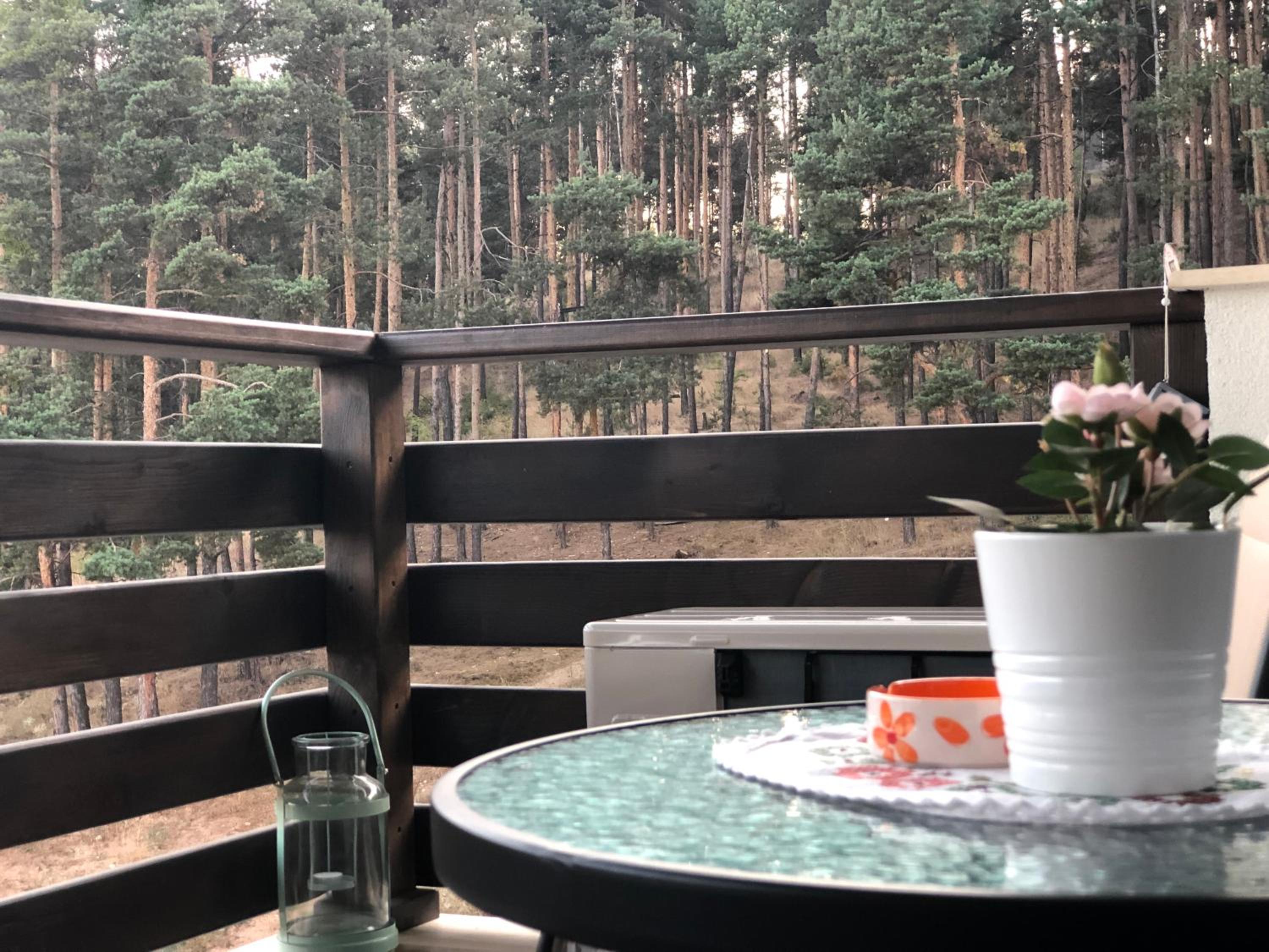 Borov park 3