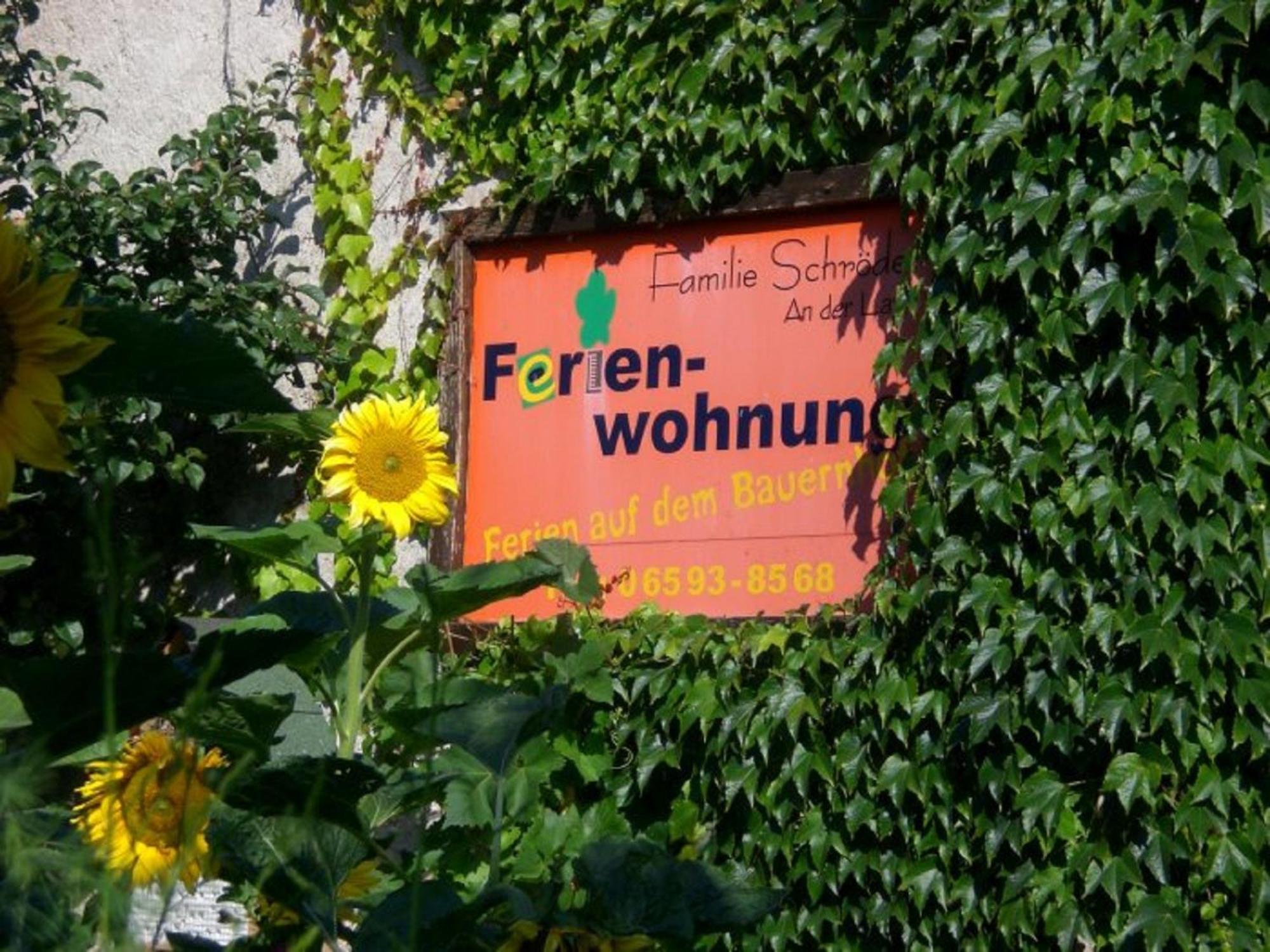 Ferienhof An der Lay view 2