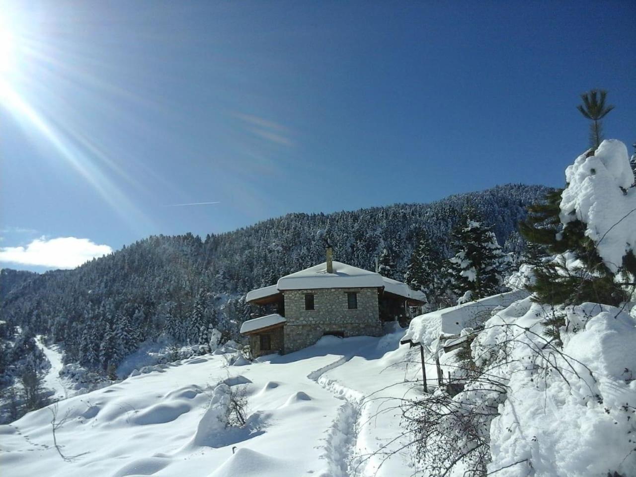 Photo 40