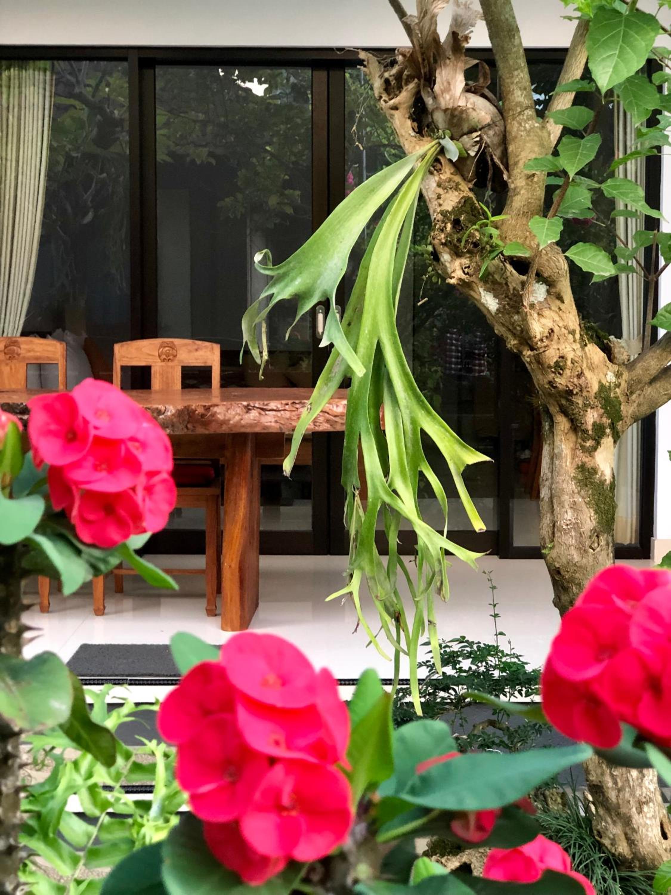 The Hidden Bali Inn