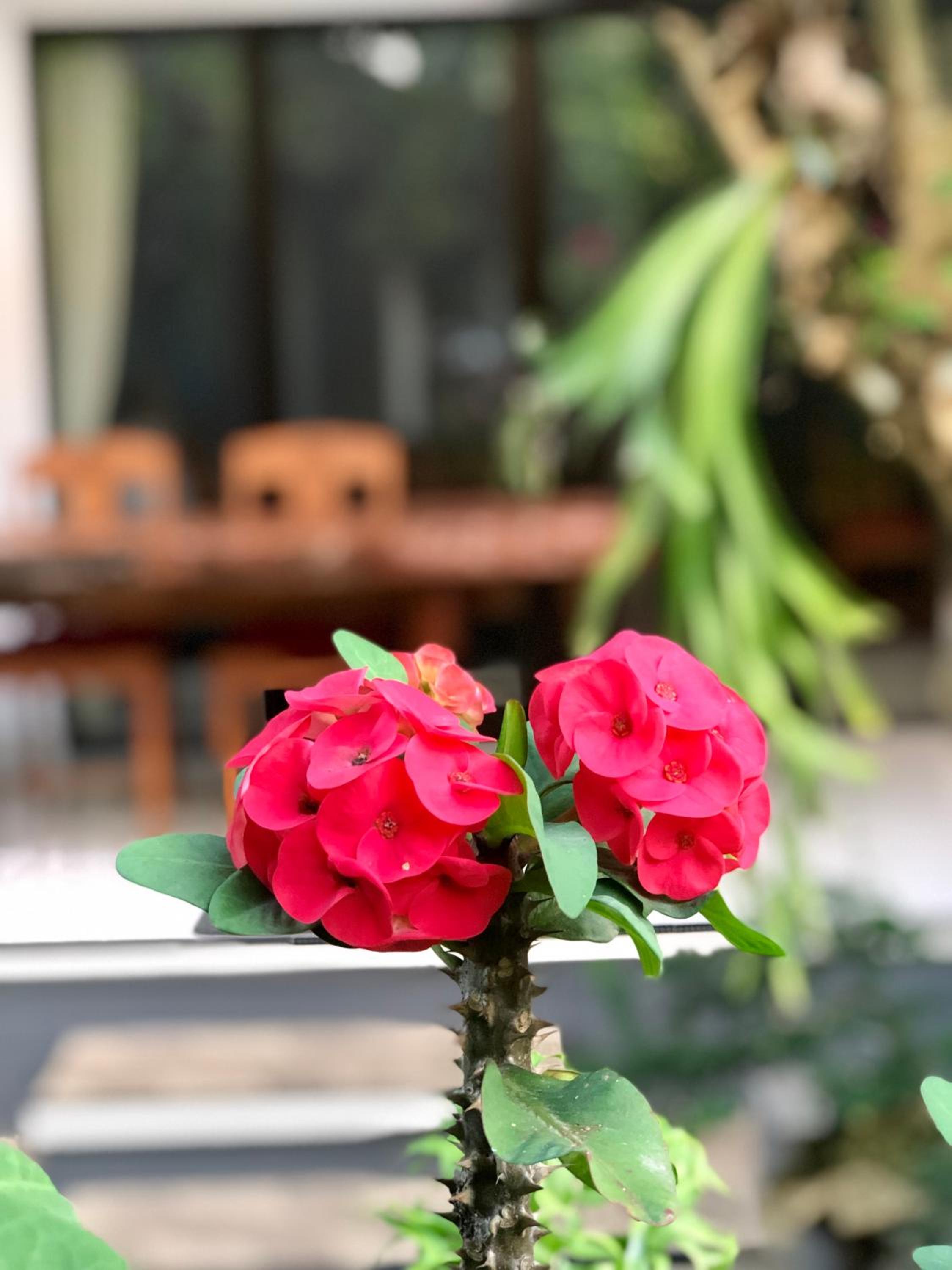 The Hidden Bali Inn