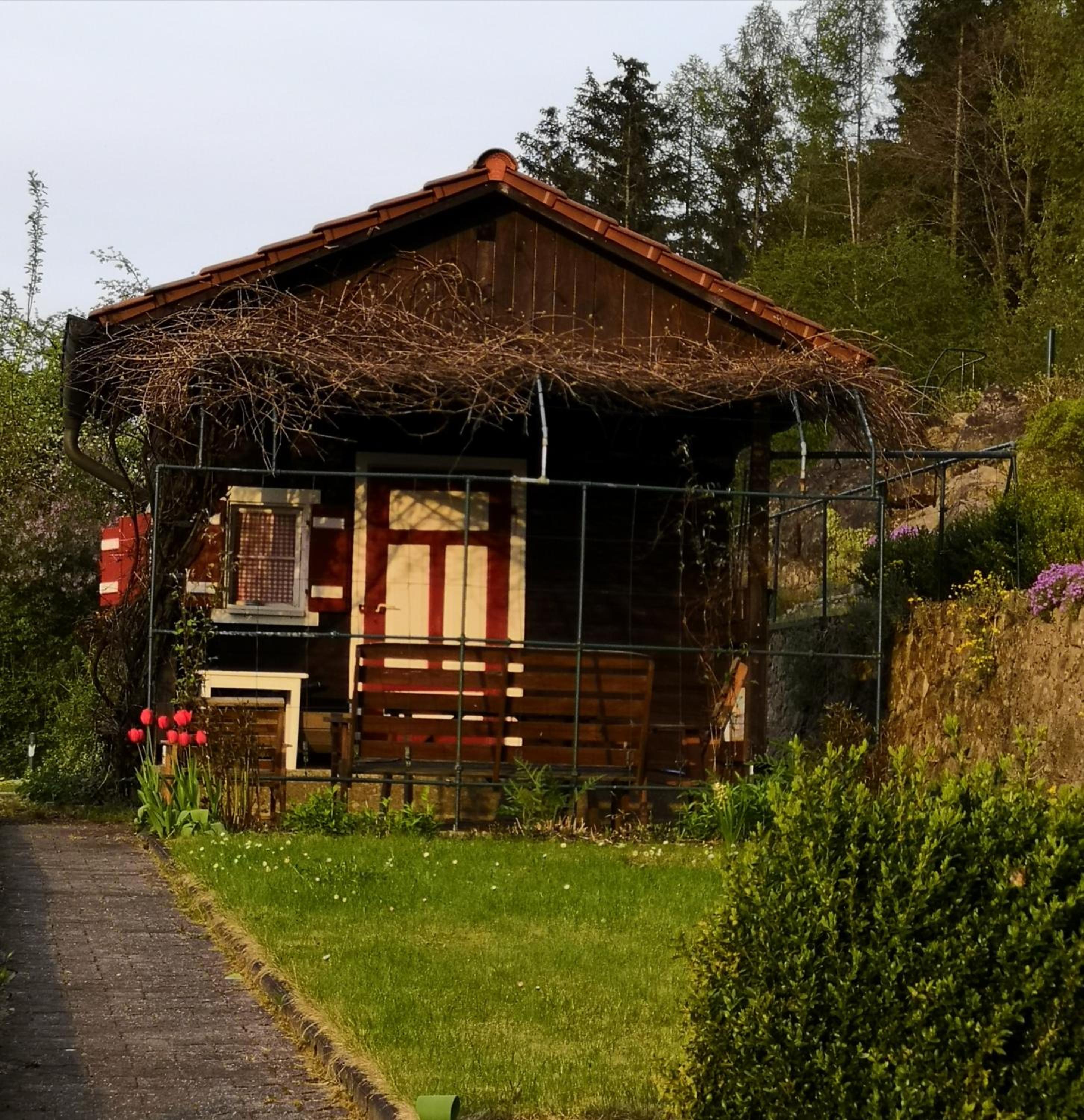 Photo 6