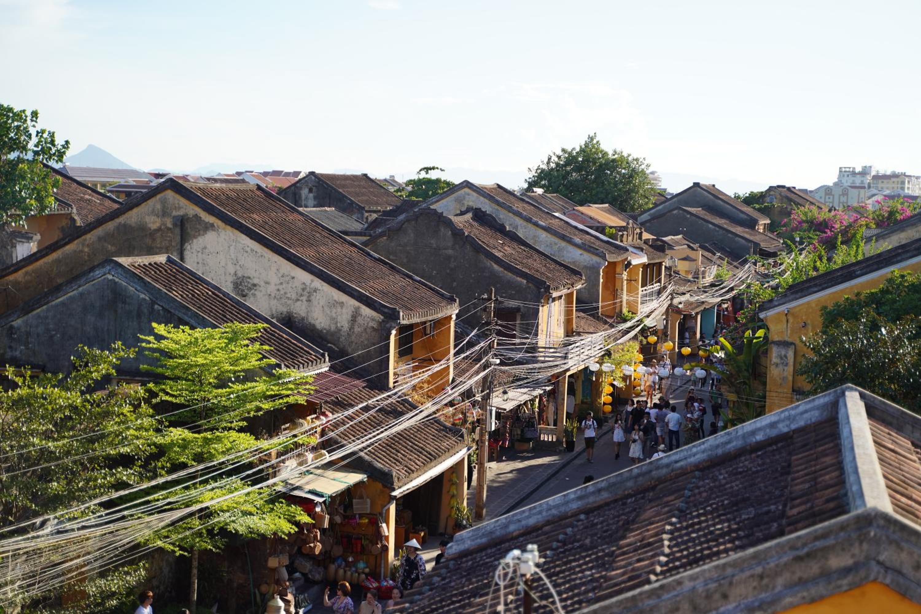 Longan Homestay