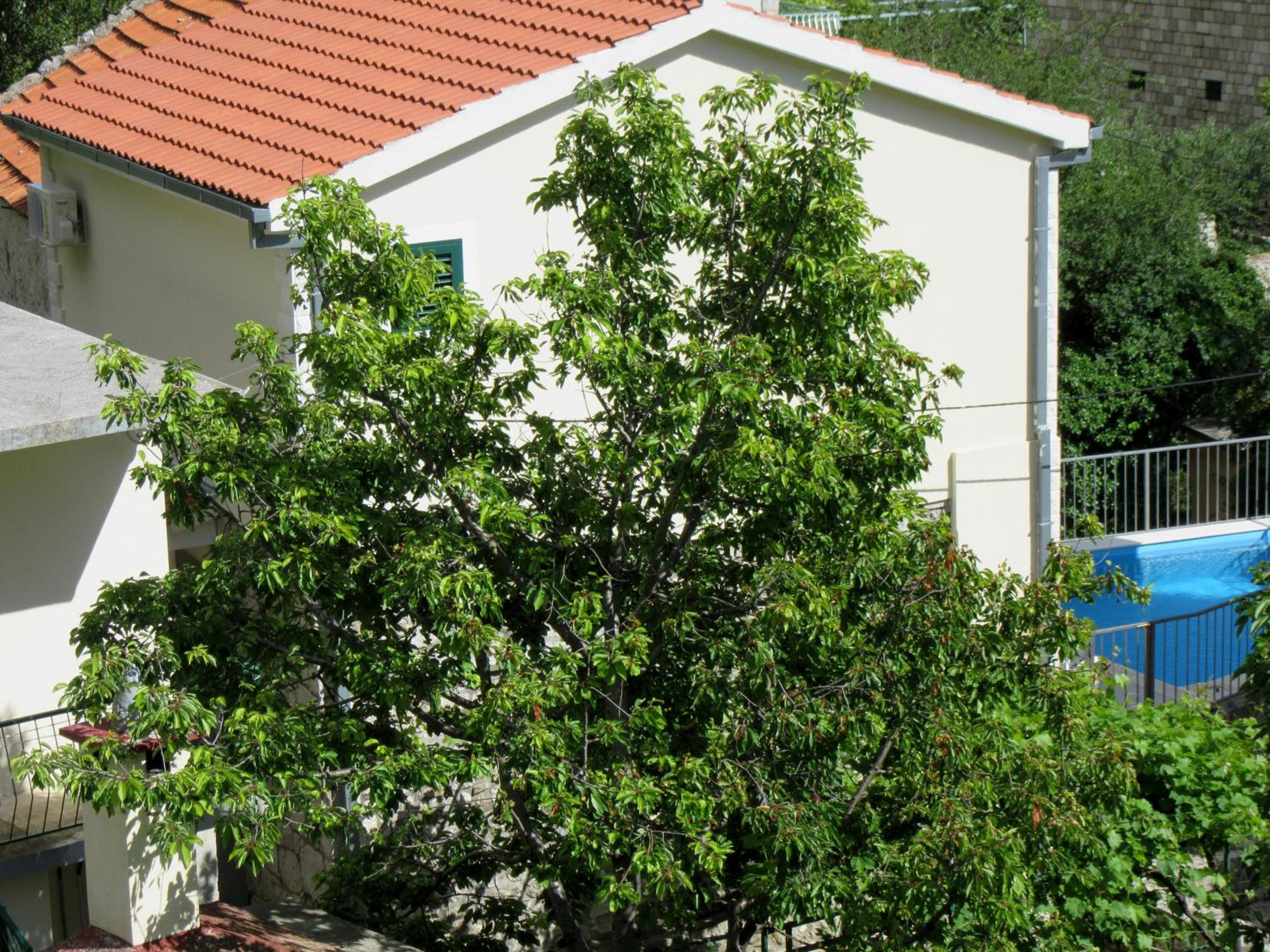 Hotel Villa Maja Tucepi - Image 1