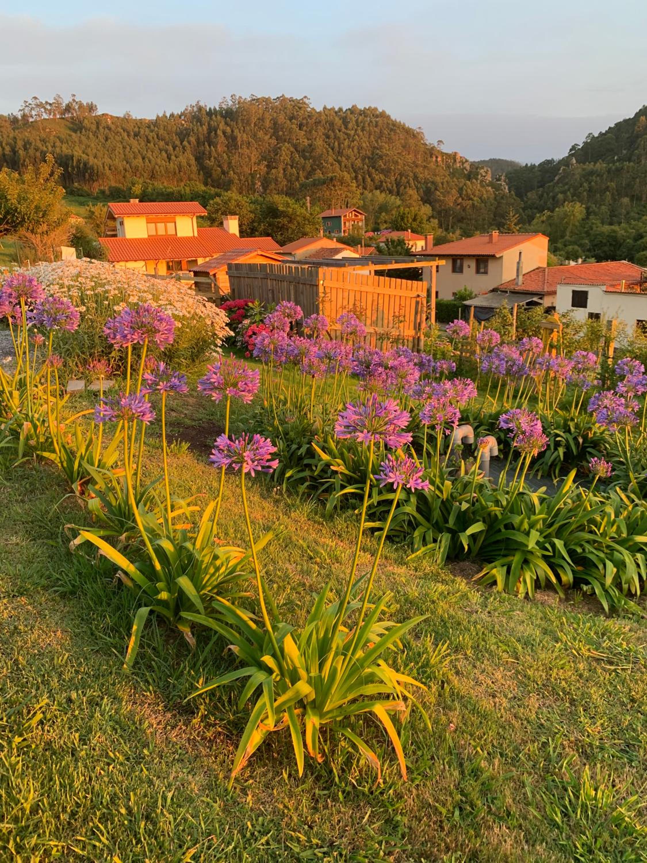 Casa Paloma view 2