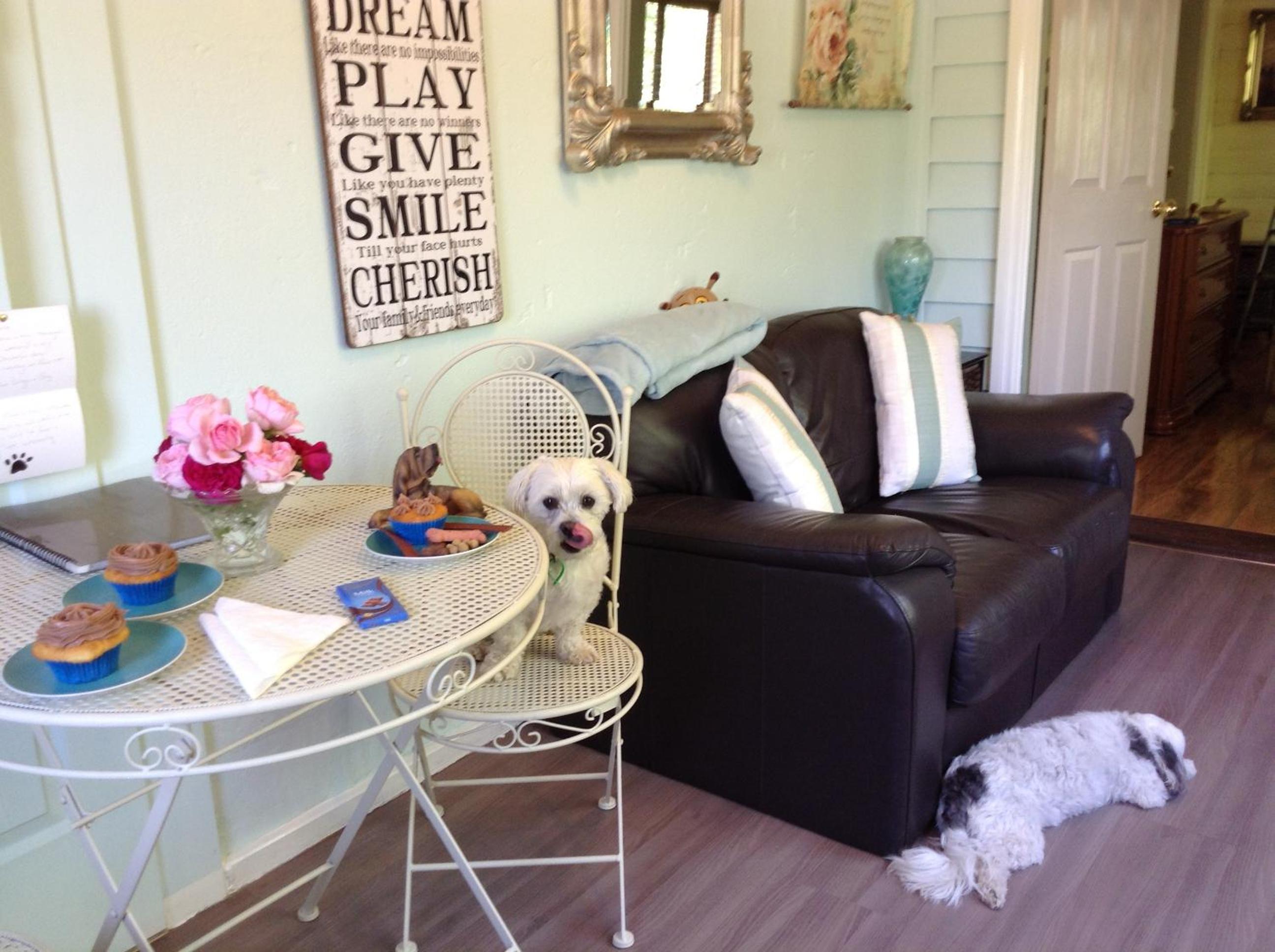 Must Love Dogs B&B & Self Contained Cottage
